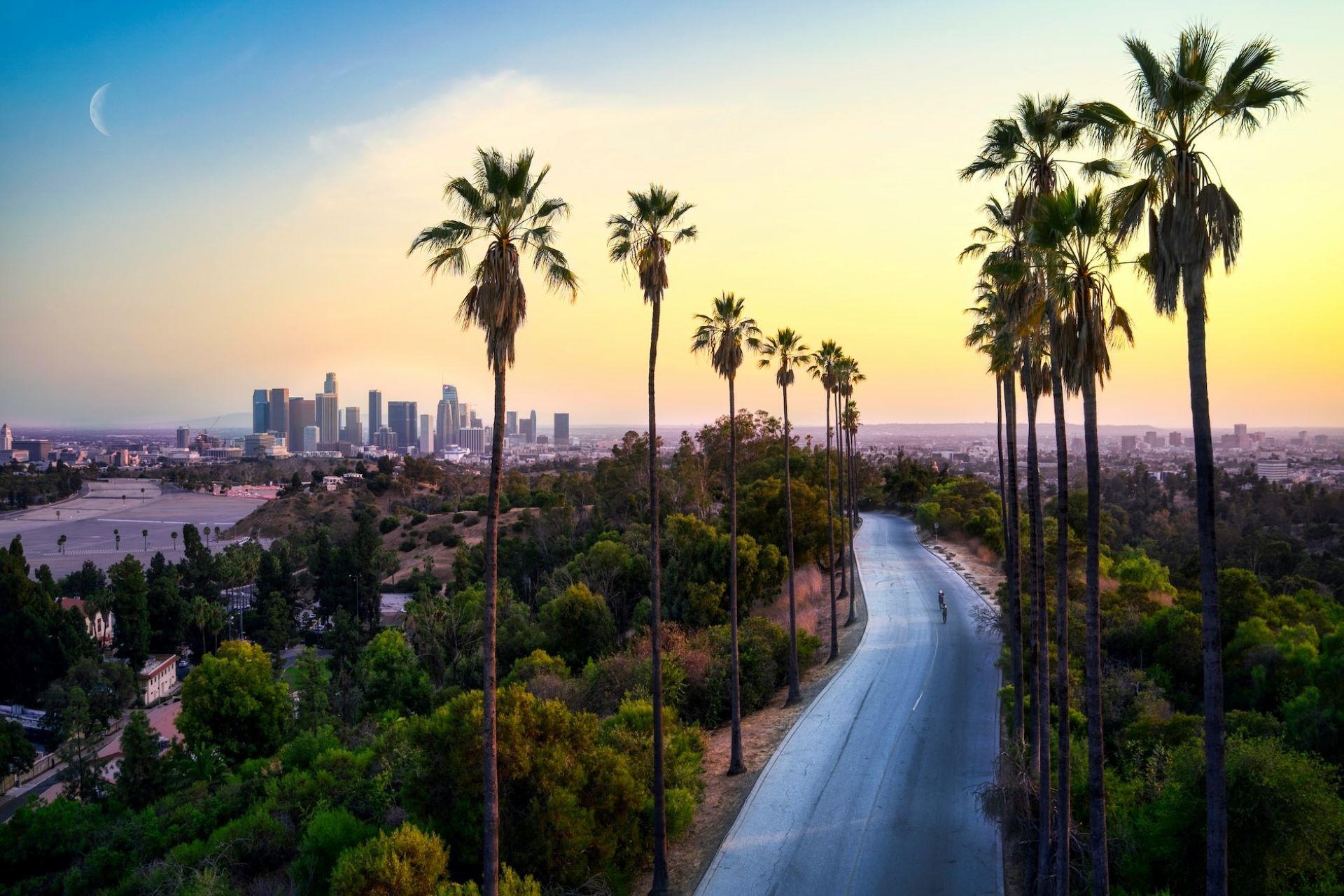 A view of Los Angeles at sunset with silhouetted palm trees.