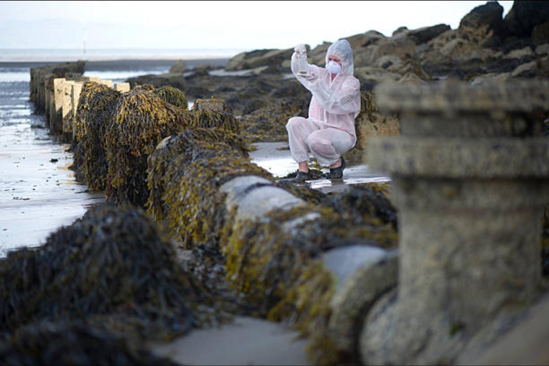 Scientist takes samples from rusty pipeline