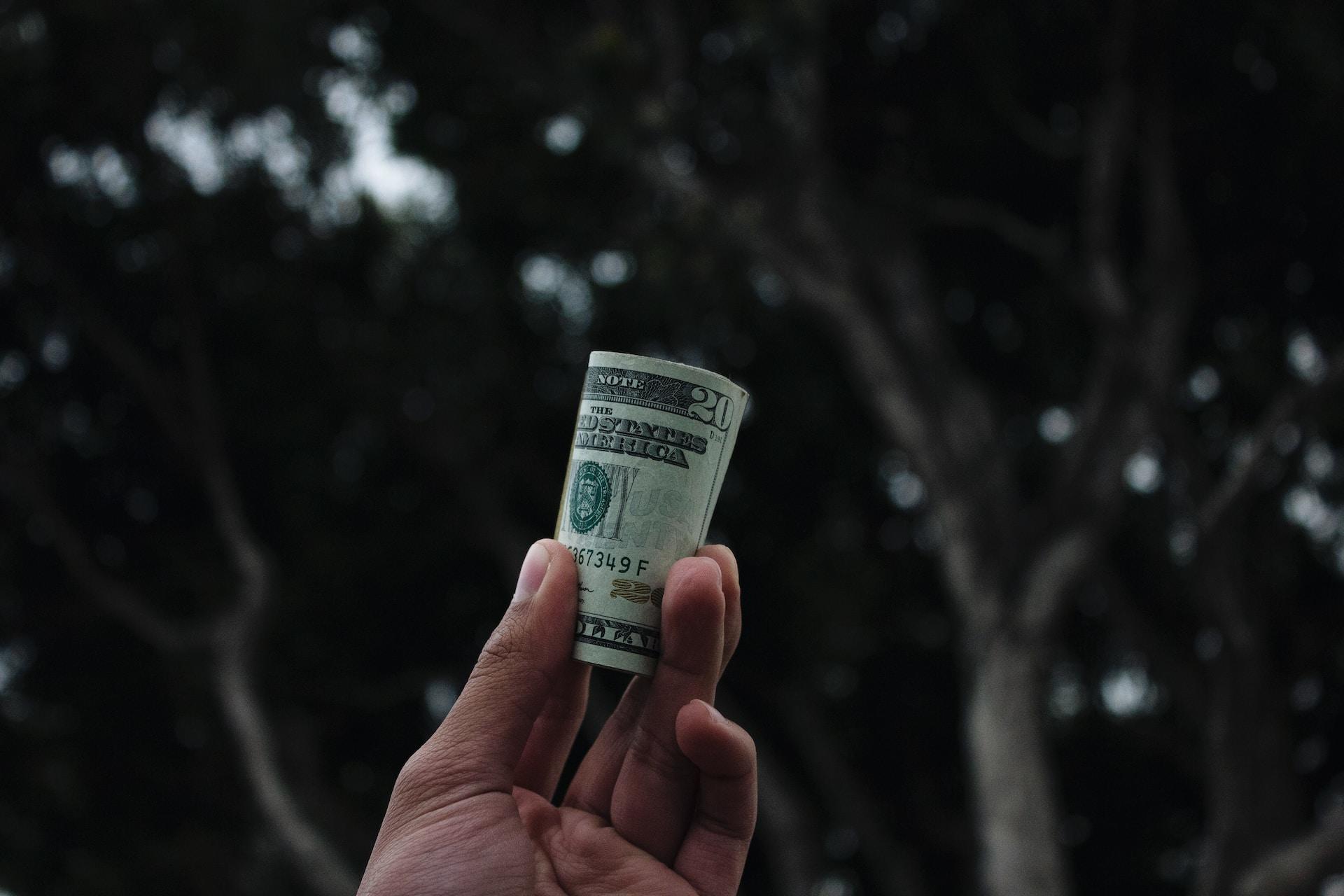 Hand holding money in front of trees.