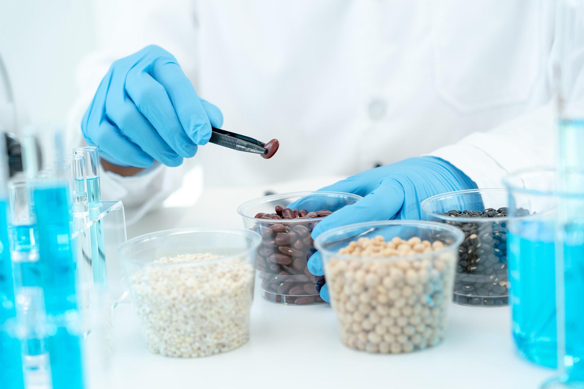 A scientist practices using tweezers by picking up dry beans and grains of rice.