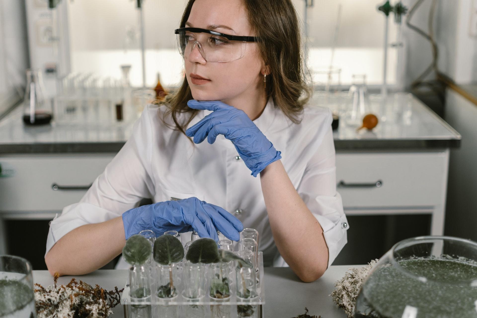 A scientist thinks about the plant specimens she has.