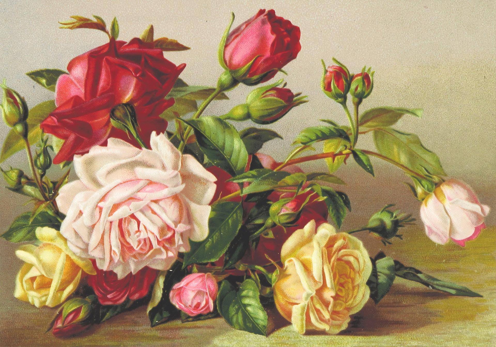A colored pencil drawing of a bouquet of flowers.