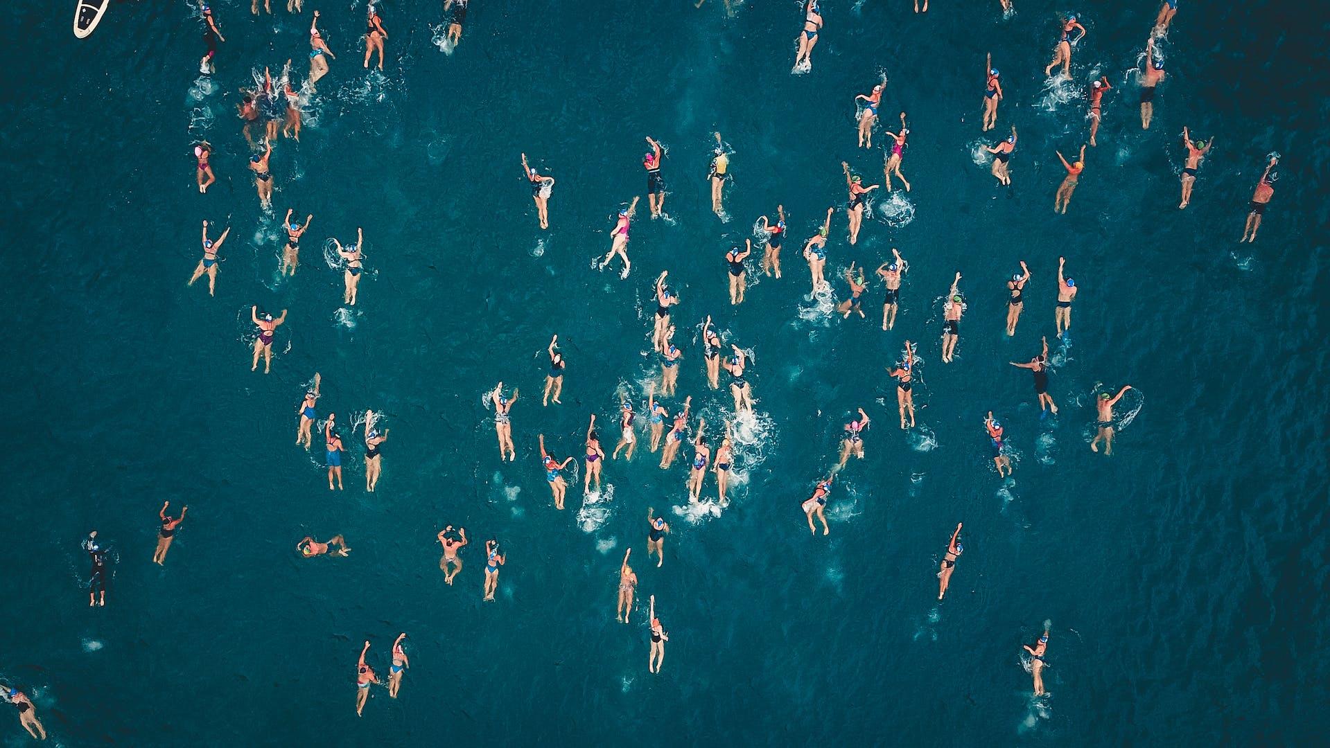 An aerial view of a large group of people swimming in the ocean.