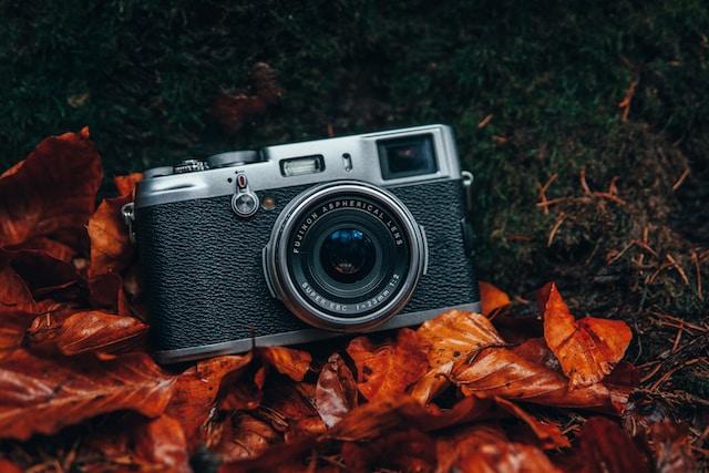 Camera in the leaves