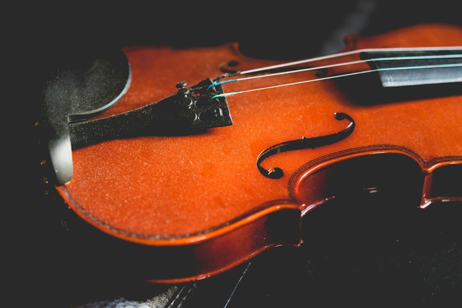 A closeup of a dusty violin.
