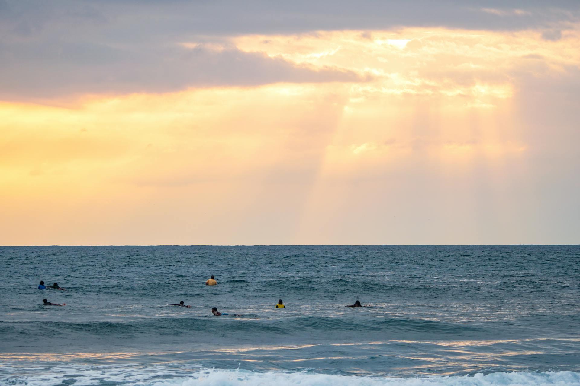People swimming in the ocean.