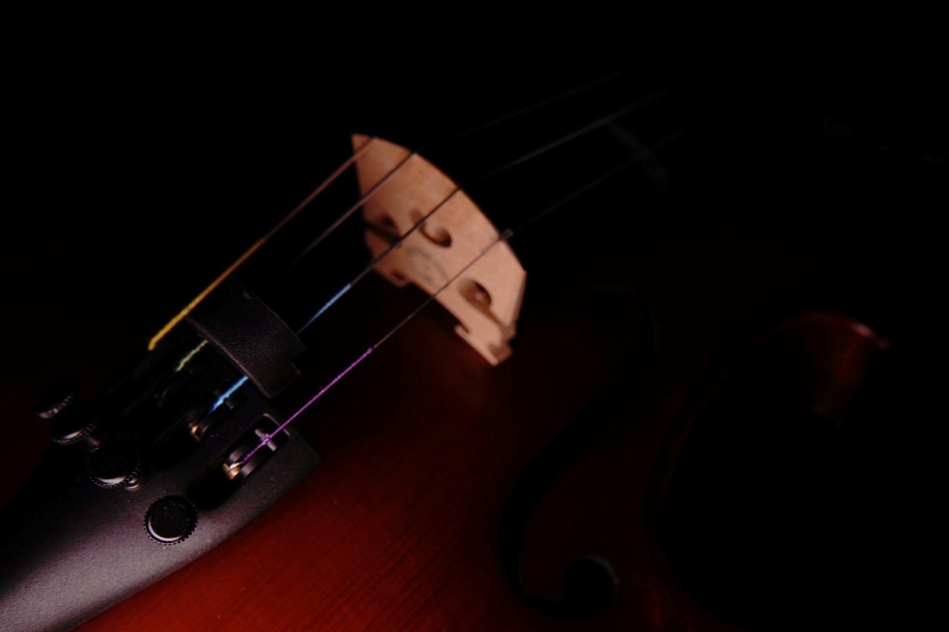 A closeup of a violin bridge.