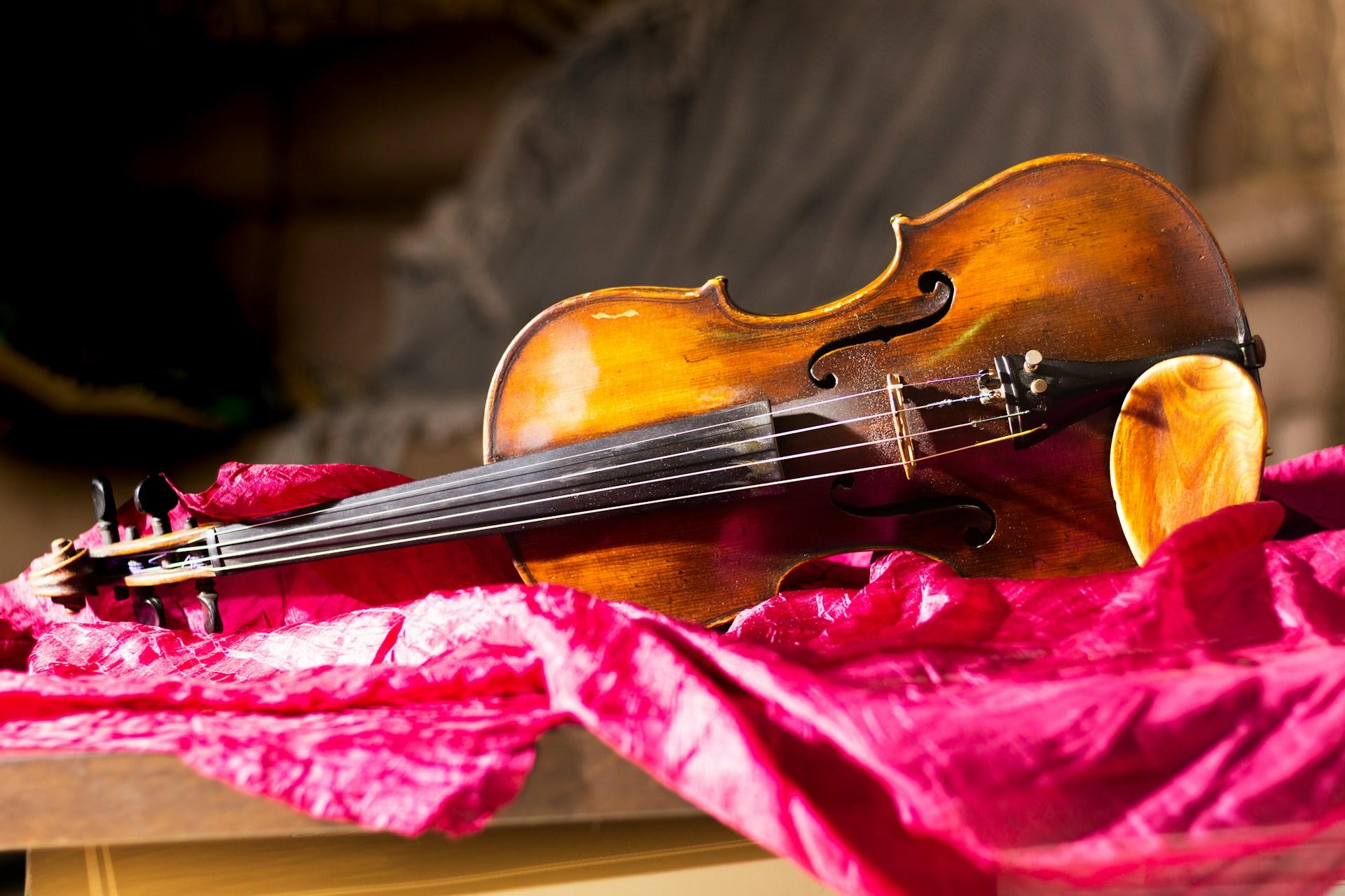 A violin lying on bright pink felt.