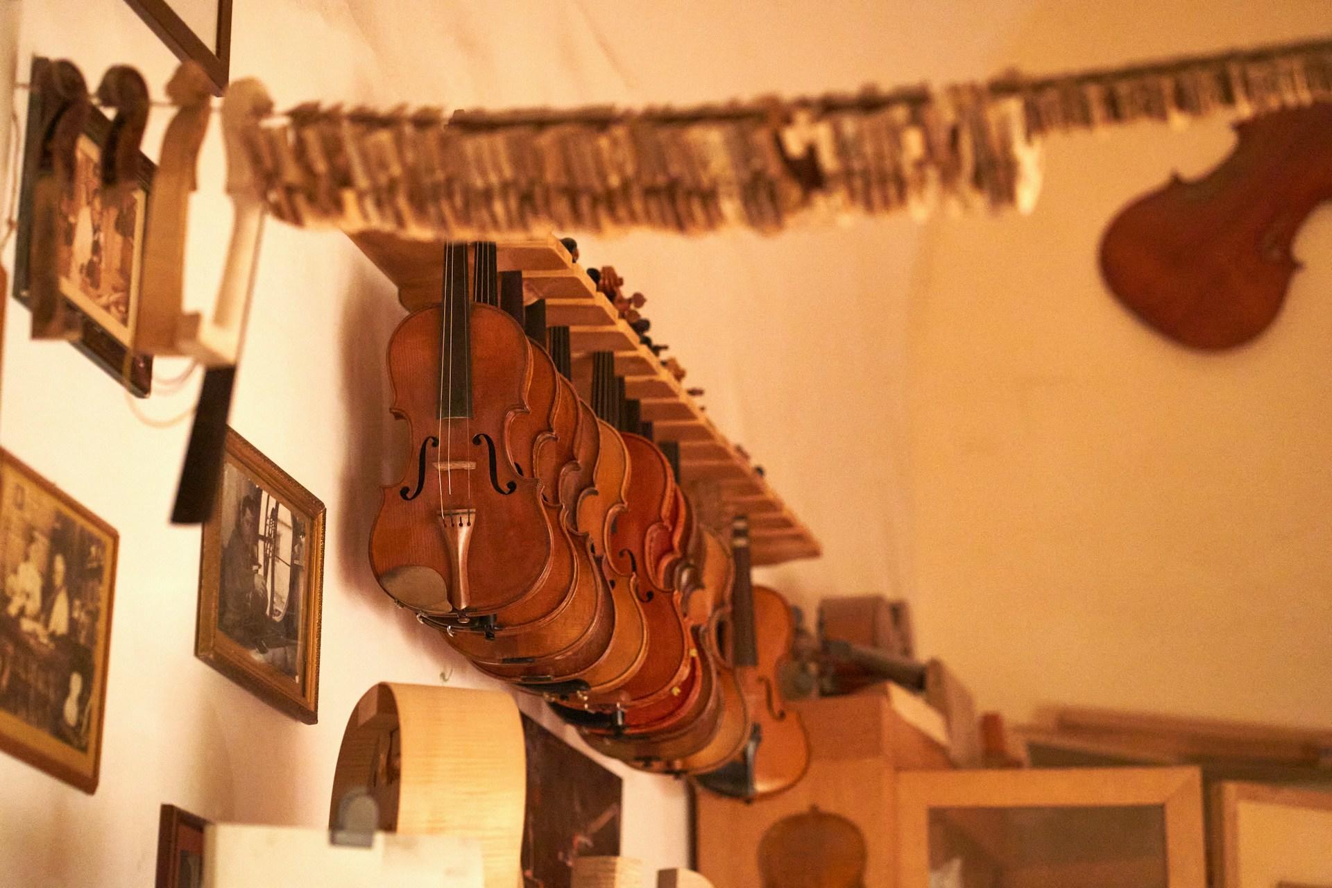 Violins hanging in a luthier's workshop.