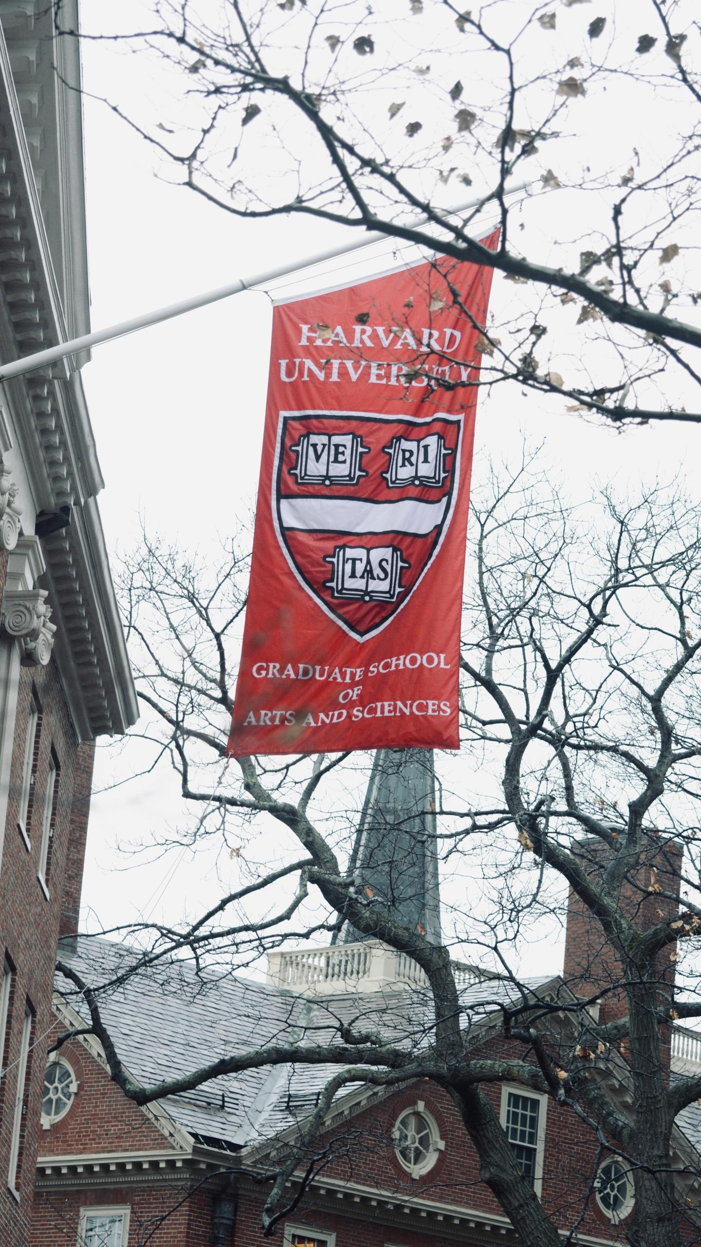 A Harvard flag flying high on the campus