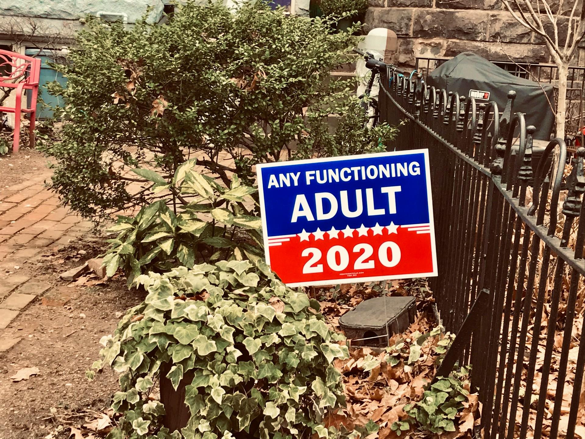 A political yard sign that says "any functioning adult 2020"