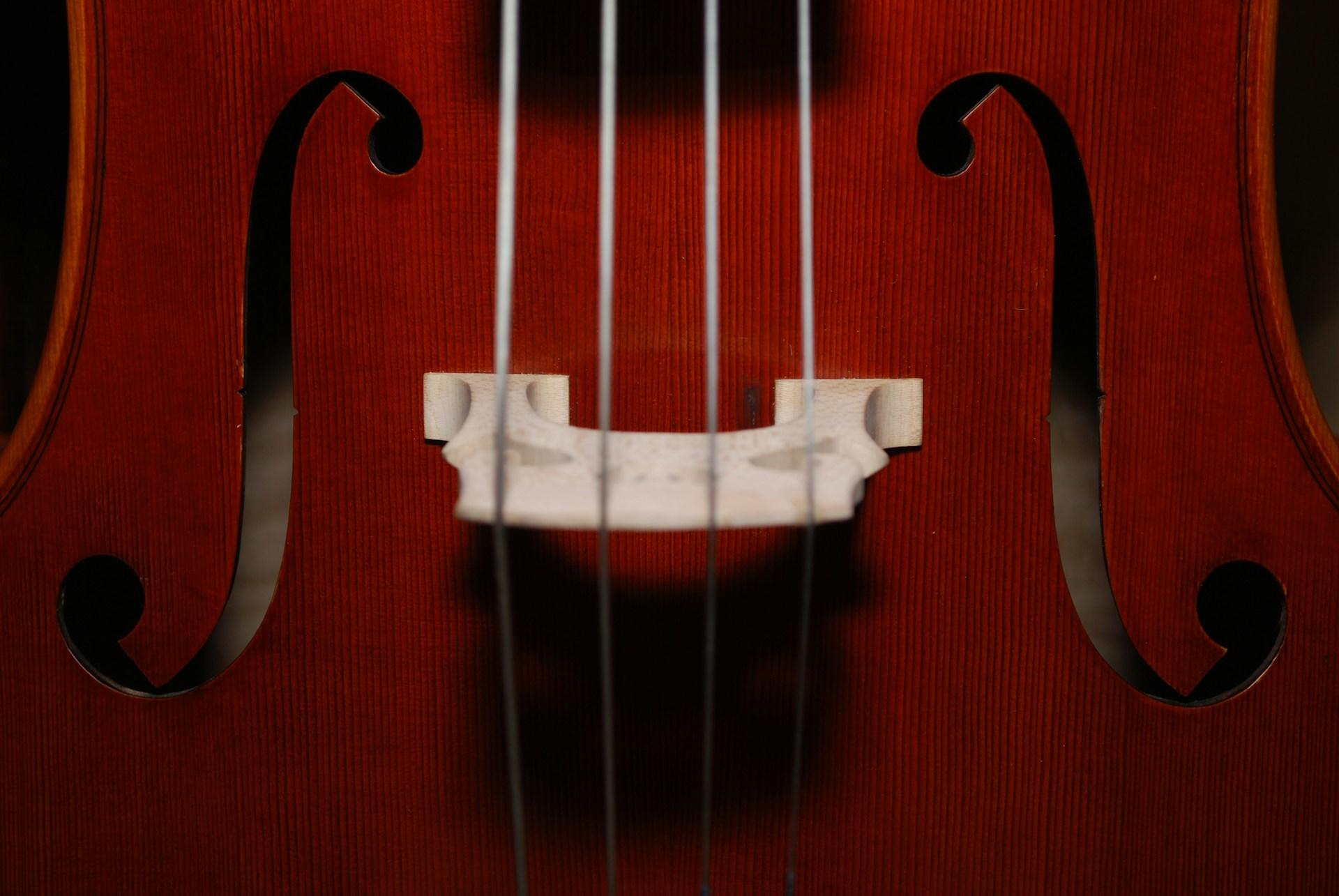 A closeup of a violin.