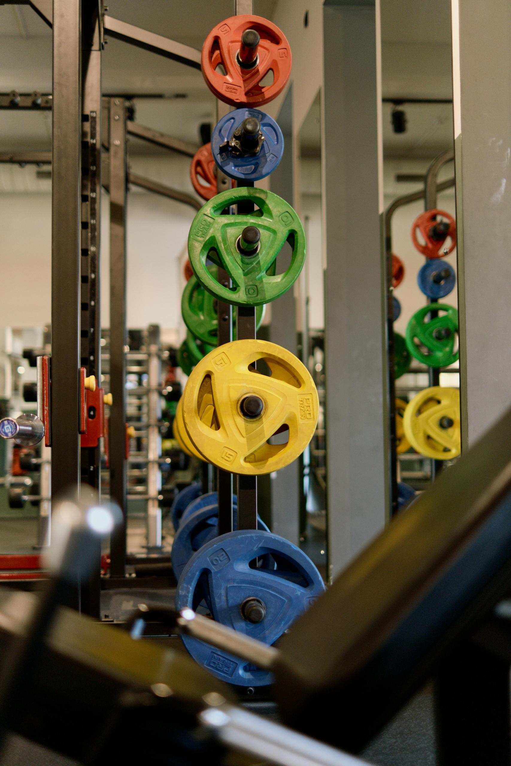 A well equipped gym with plenty of weights for its members to use