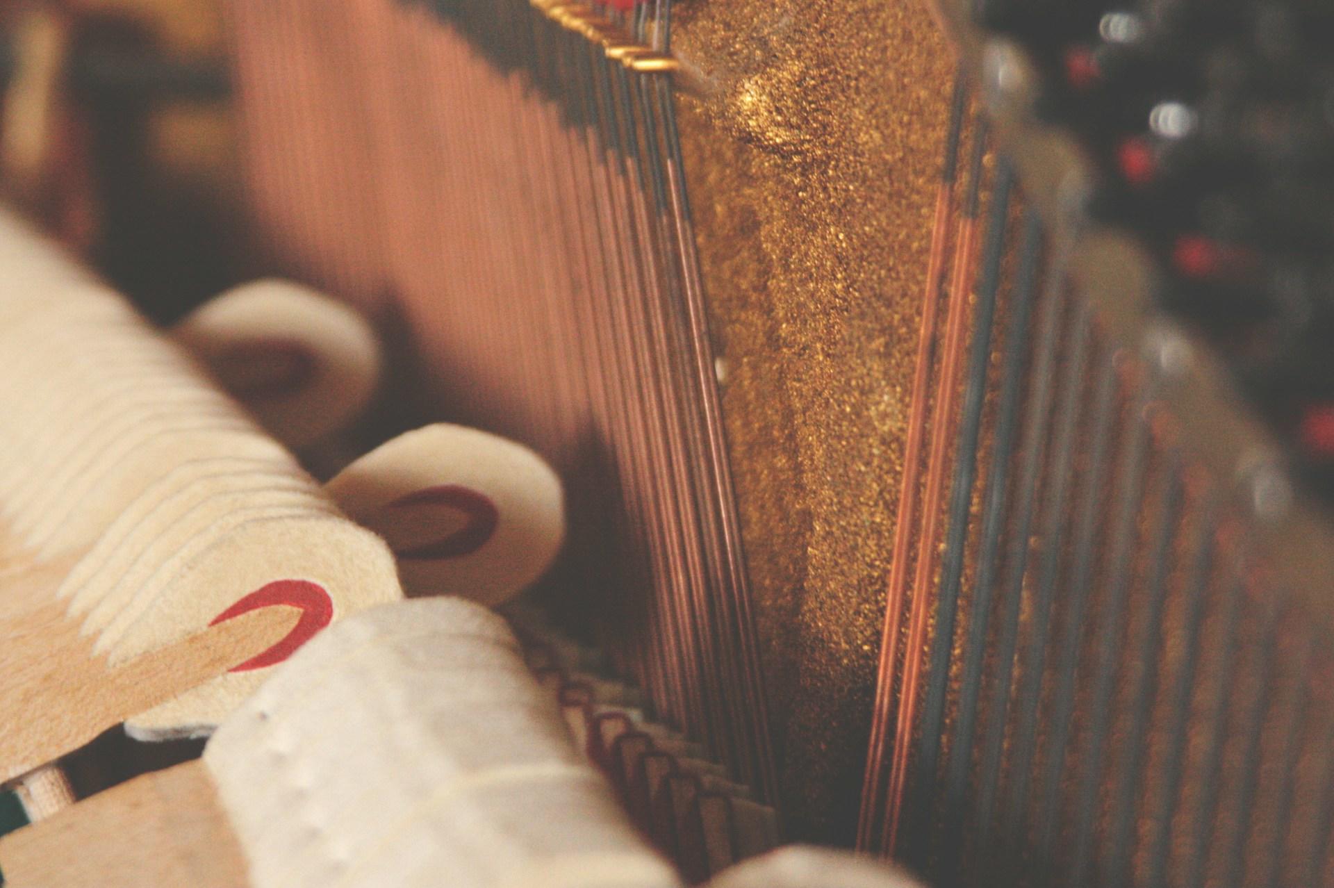 A closeup of piano hammers.