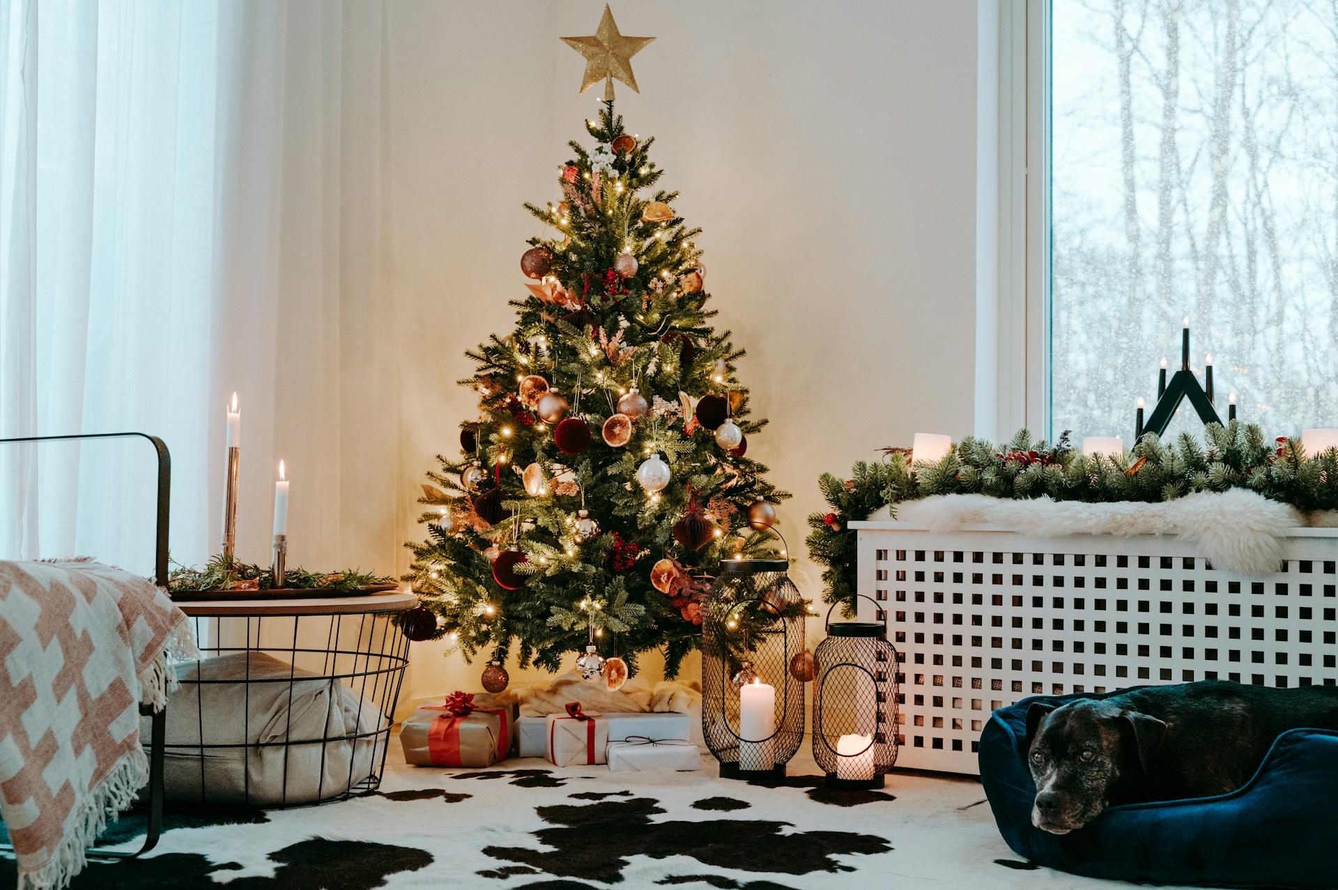 A Christmas tree decorated and a dog laying on a dog bed in a living room