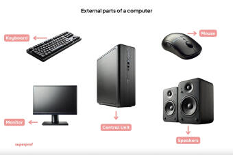 Discover the Basic Parts of Computer on Your Device 💻