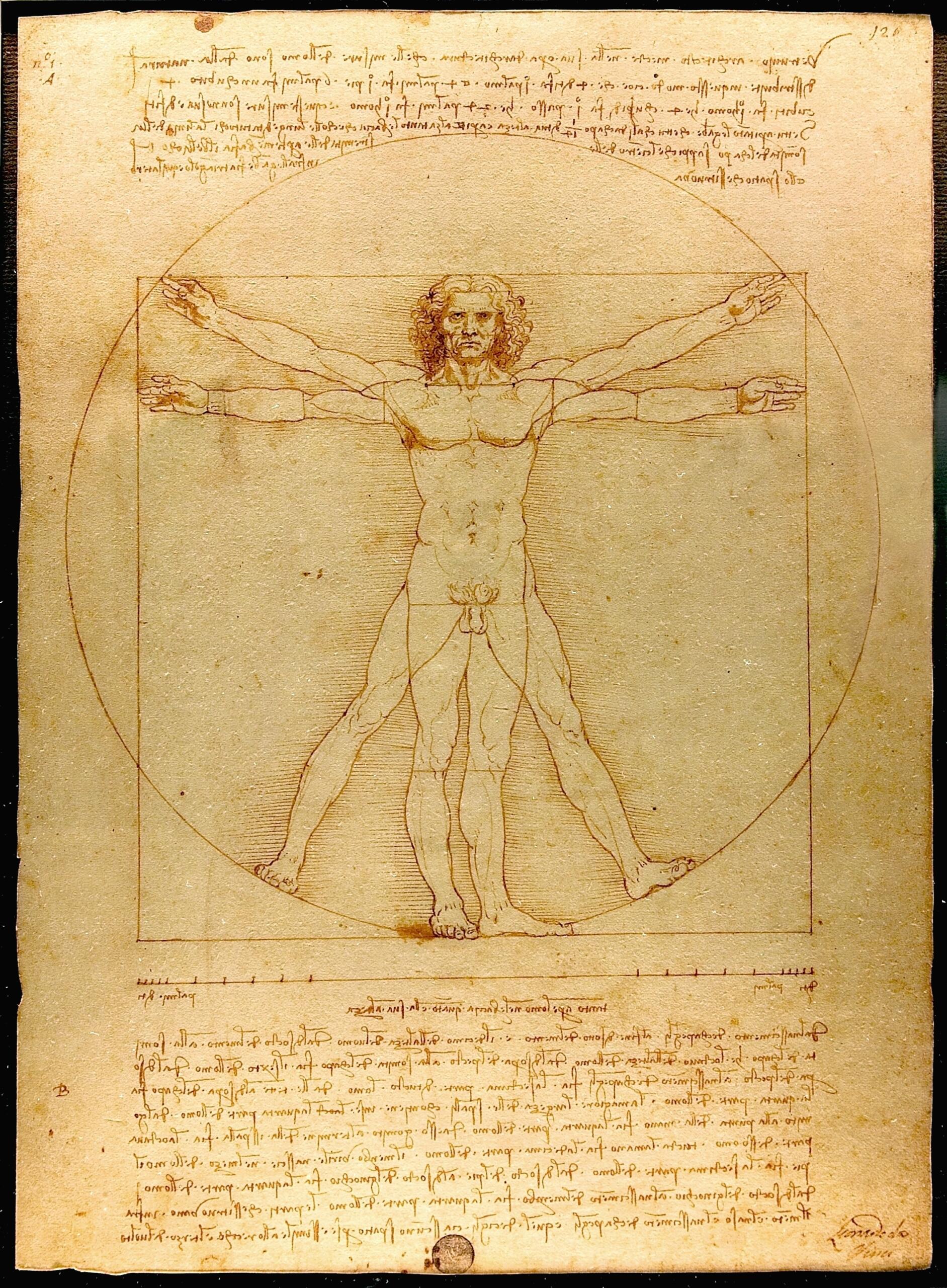 Vitruvian Man c 1492 by Leonardo da Vinci 