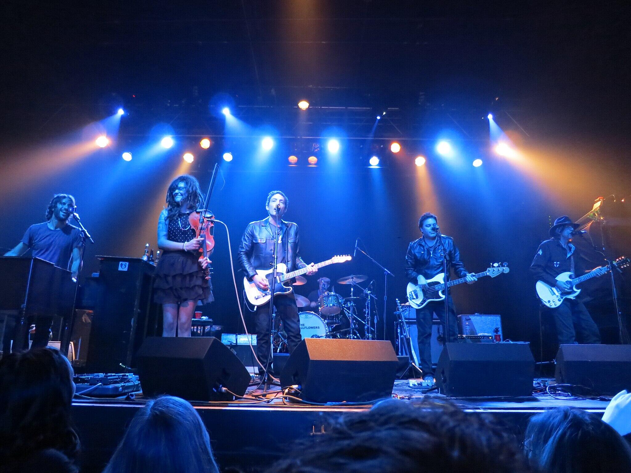 The Wallflowers performing on stage