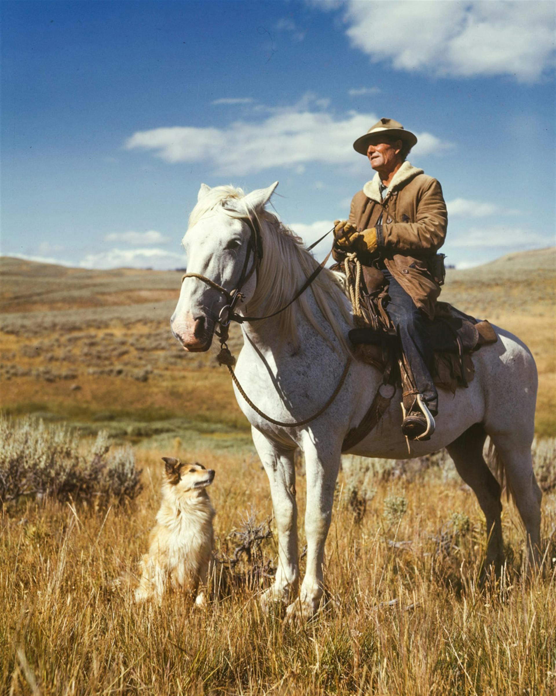 a cowboy riding a horse with his dog nearby
