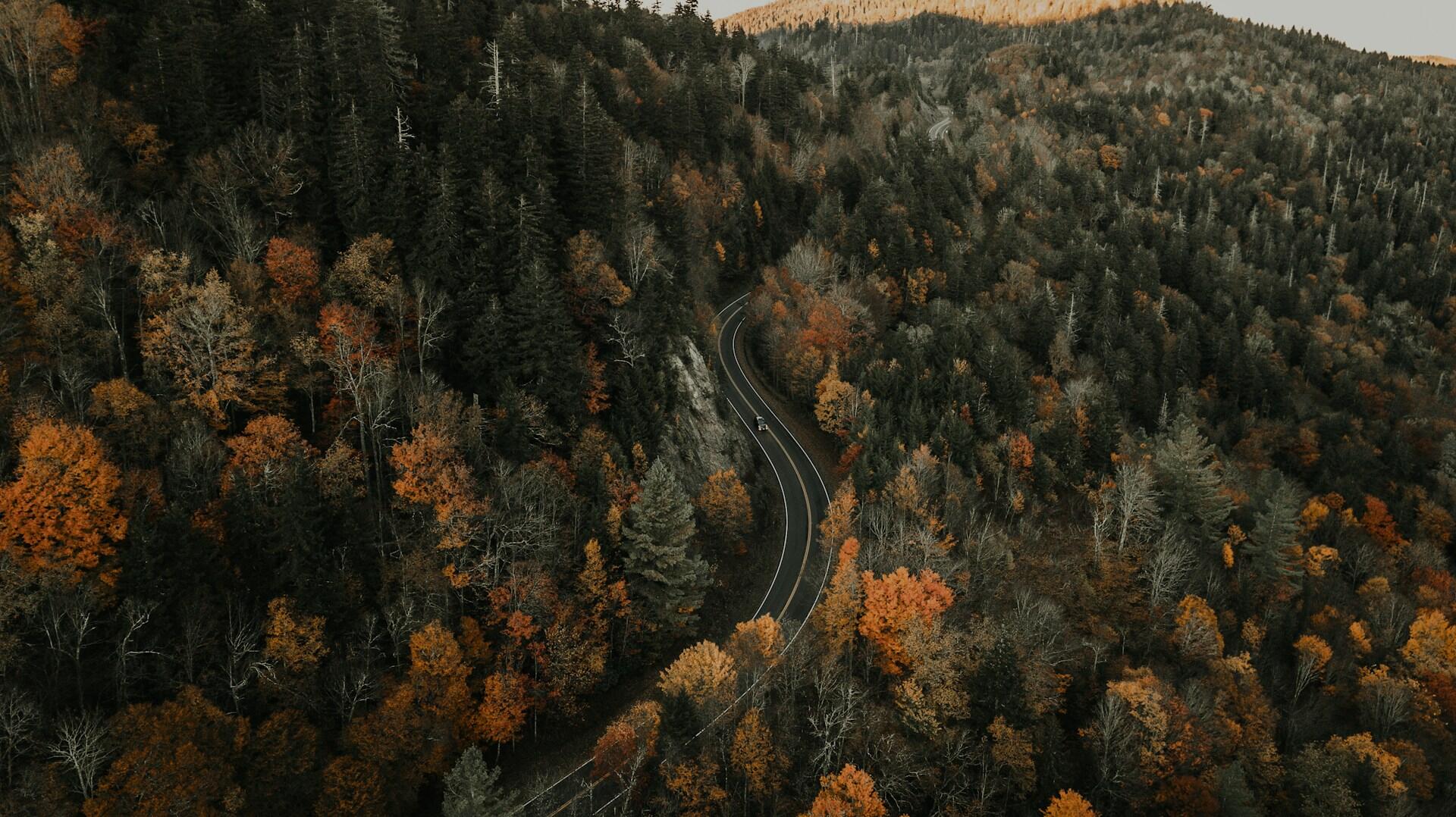 Blue Ridge Highway.