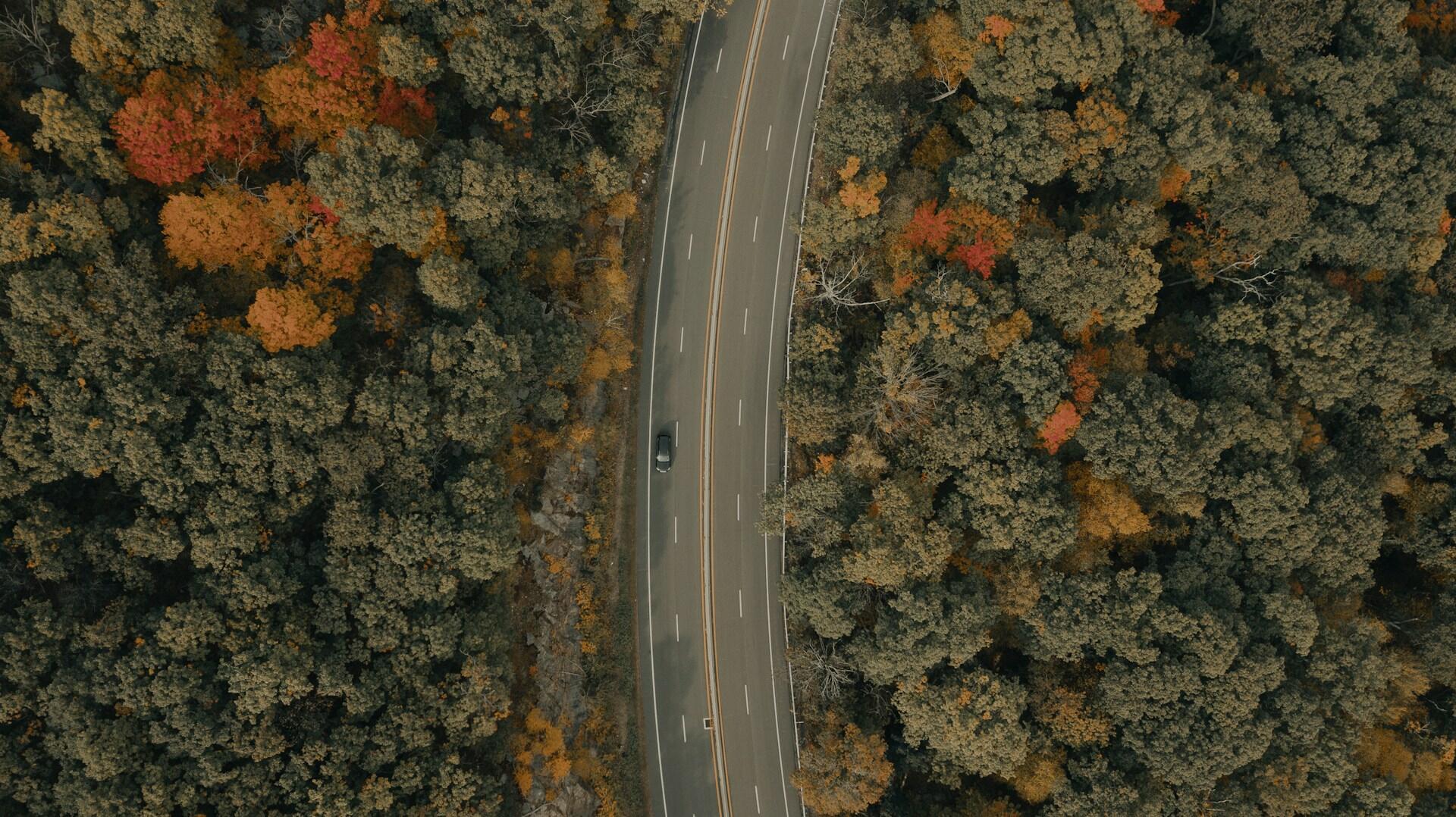 Air view of a road in the forest.