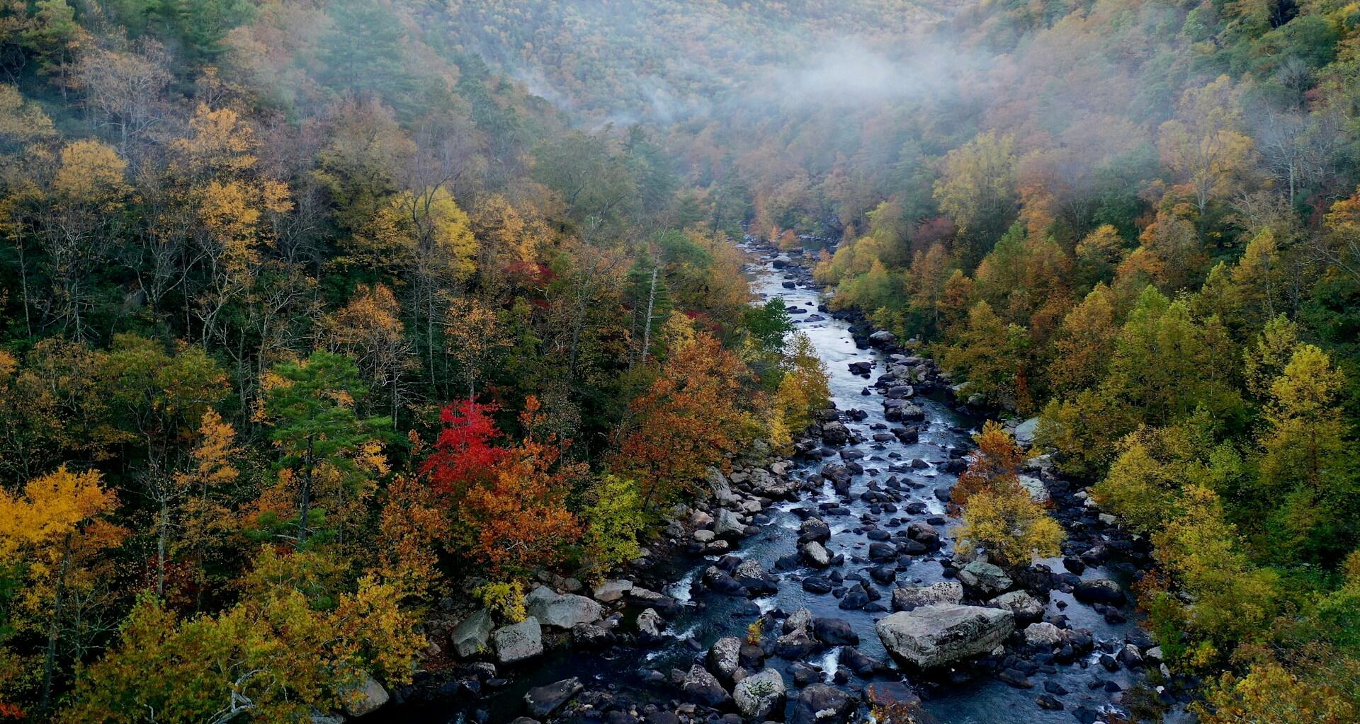 A river in Virginia.