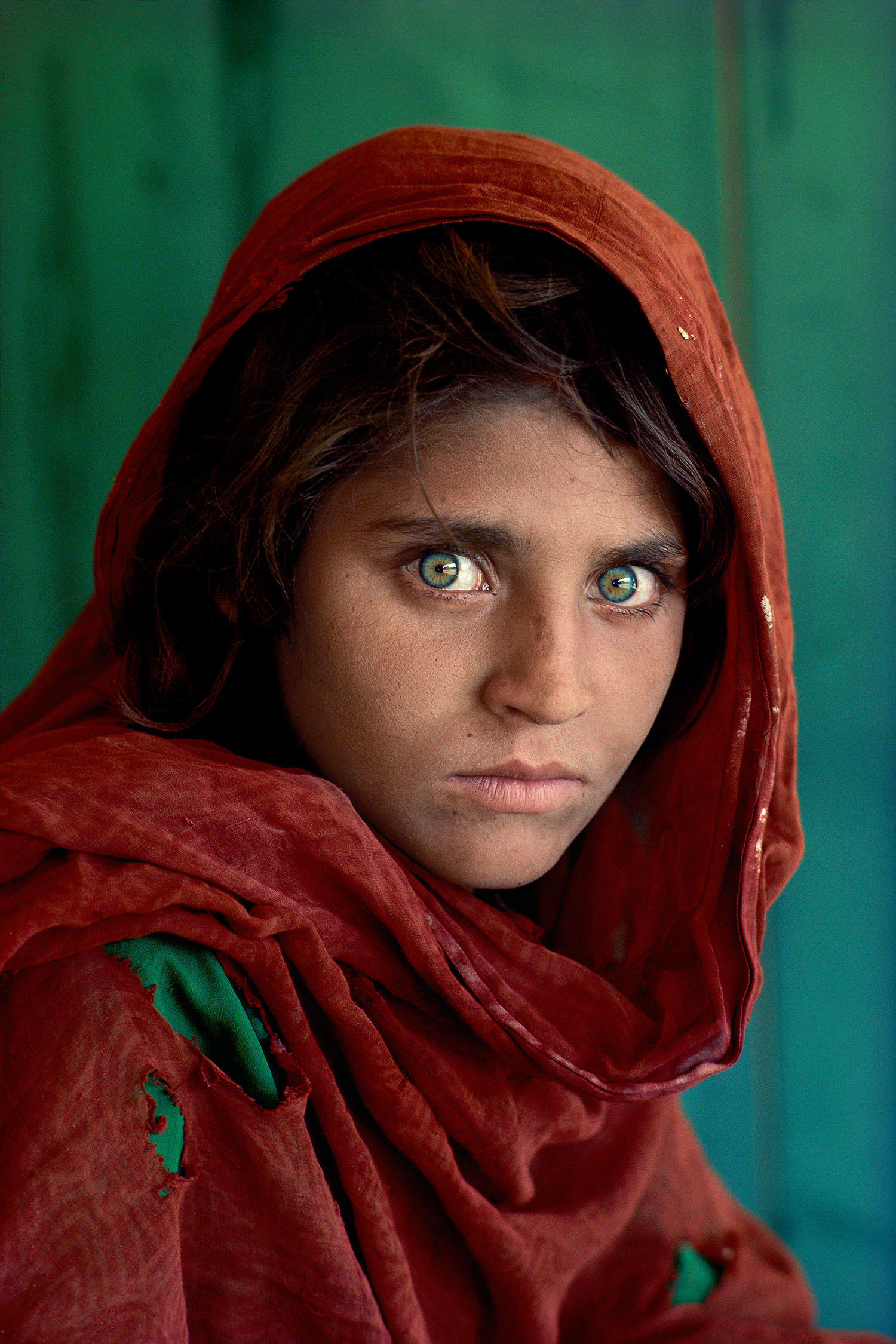 Photograph of the Afghan Girl by Steve McCurry.