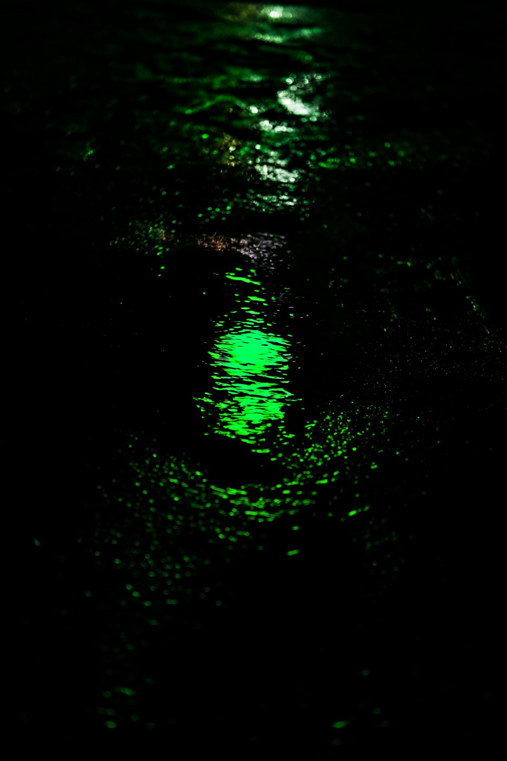reflection of a green light at night on water