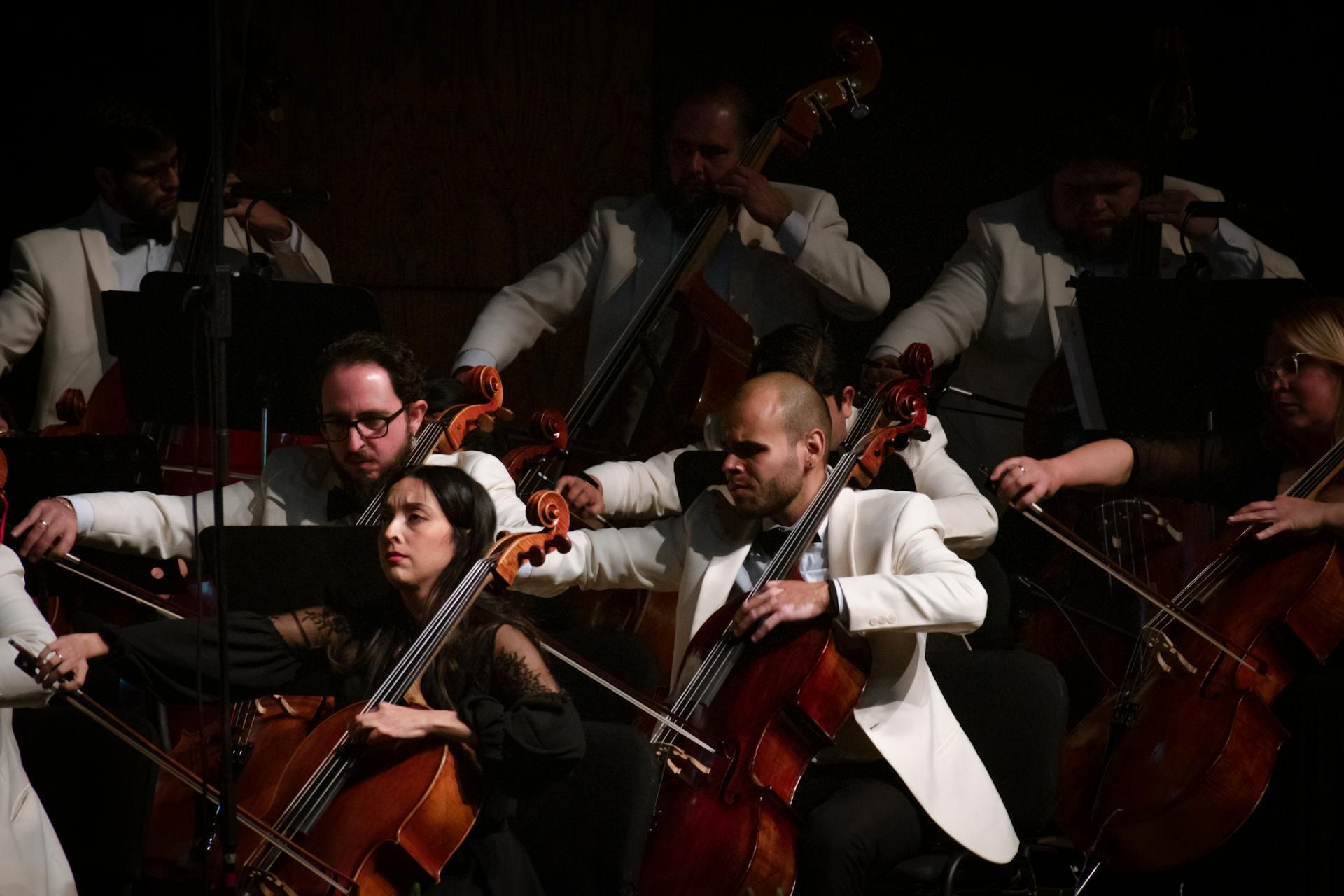 orchestra strings section on stage performing