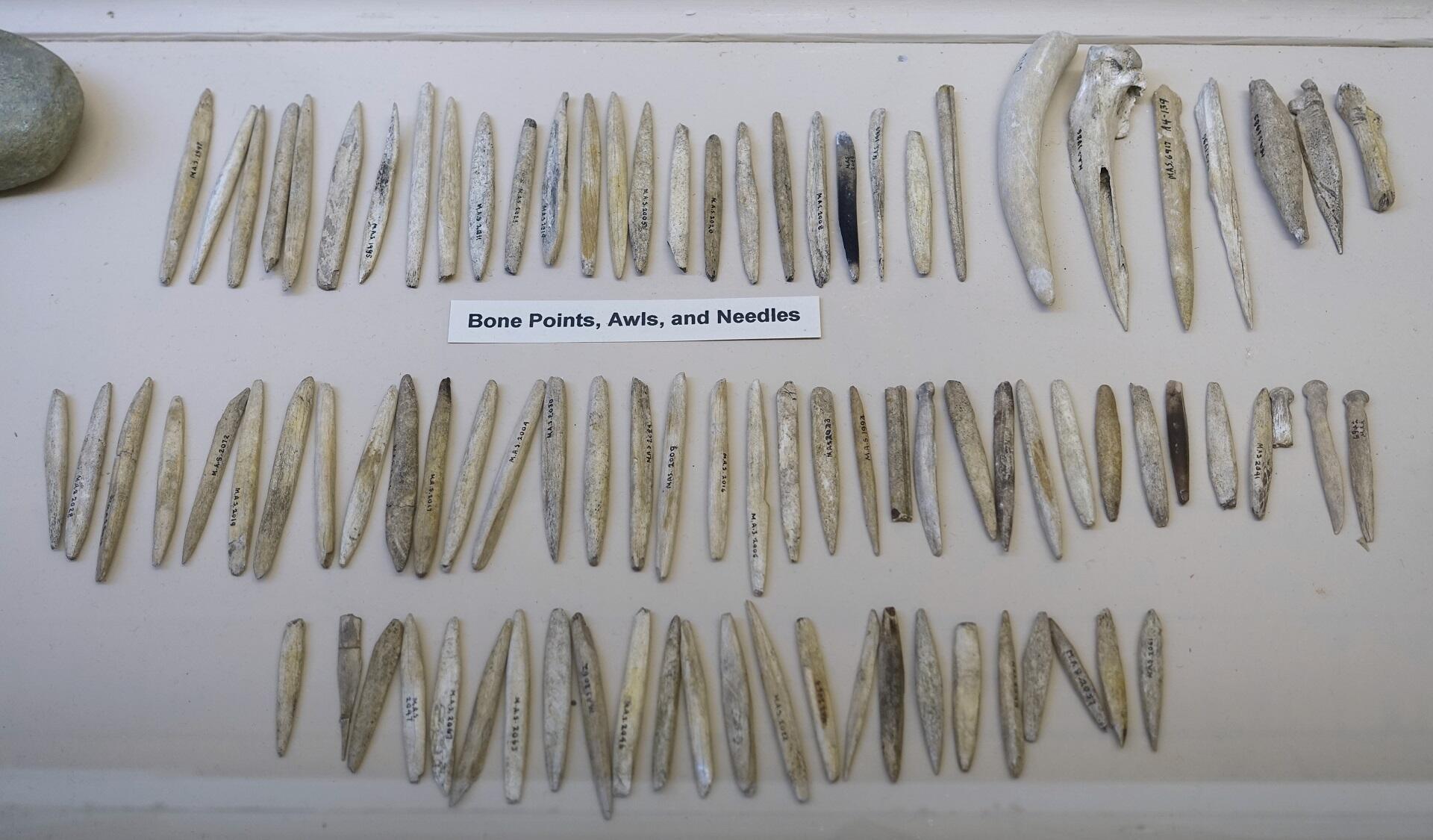 Prehistoric sewing needles and other tools made of bone. 