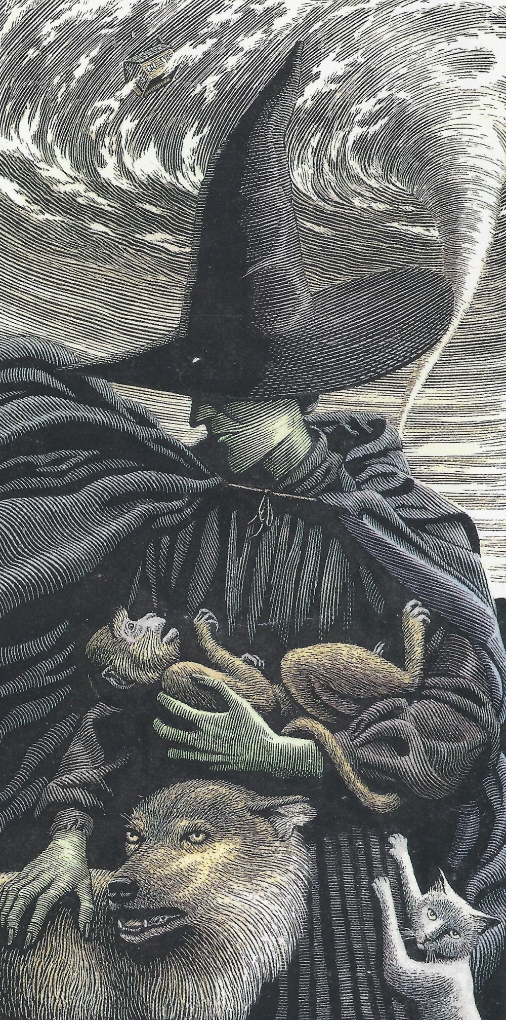 illustration of Elphaba