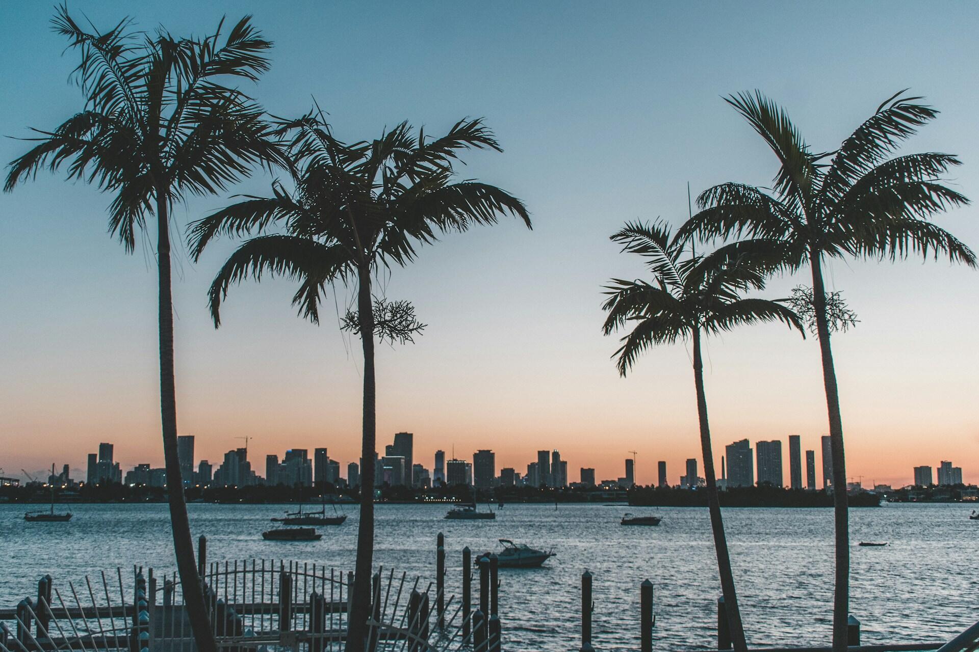 Palm trees in silhouette beside water with boats and a city skyline in the distance at sunset.