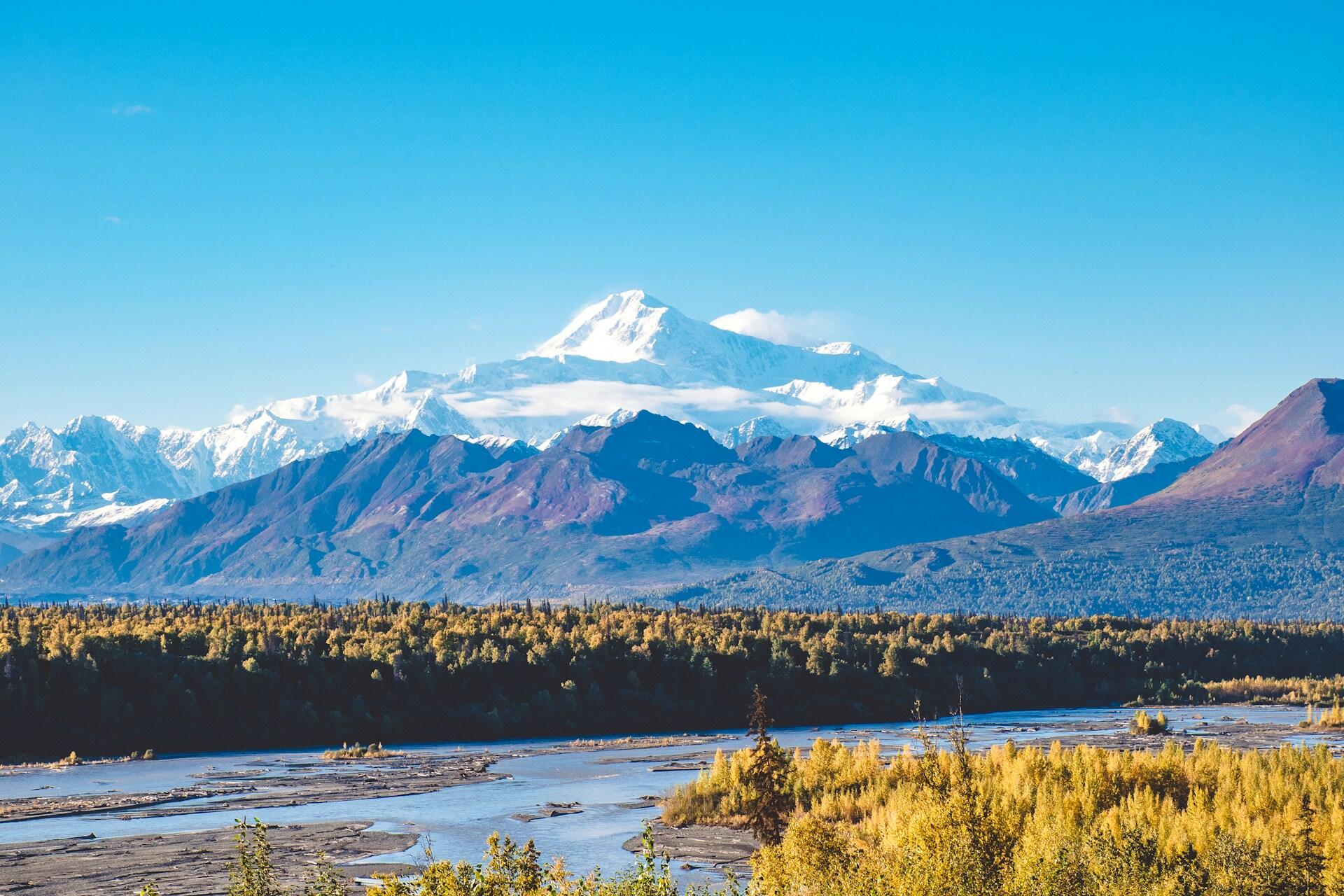snowcovered Denali rises in the distance, behind a smaller mountain without snow in the foreground, and a tundra biome with yellow flowers in the closer foreground