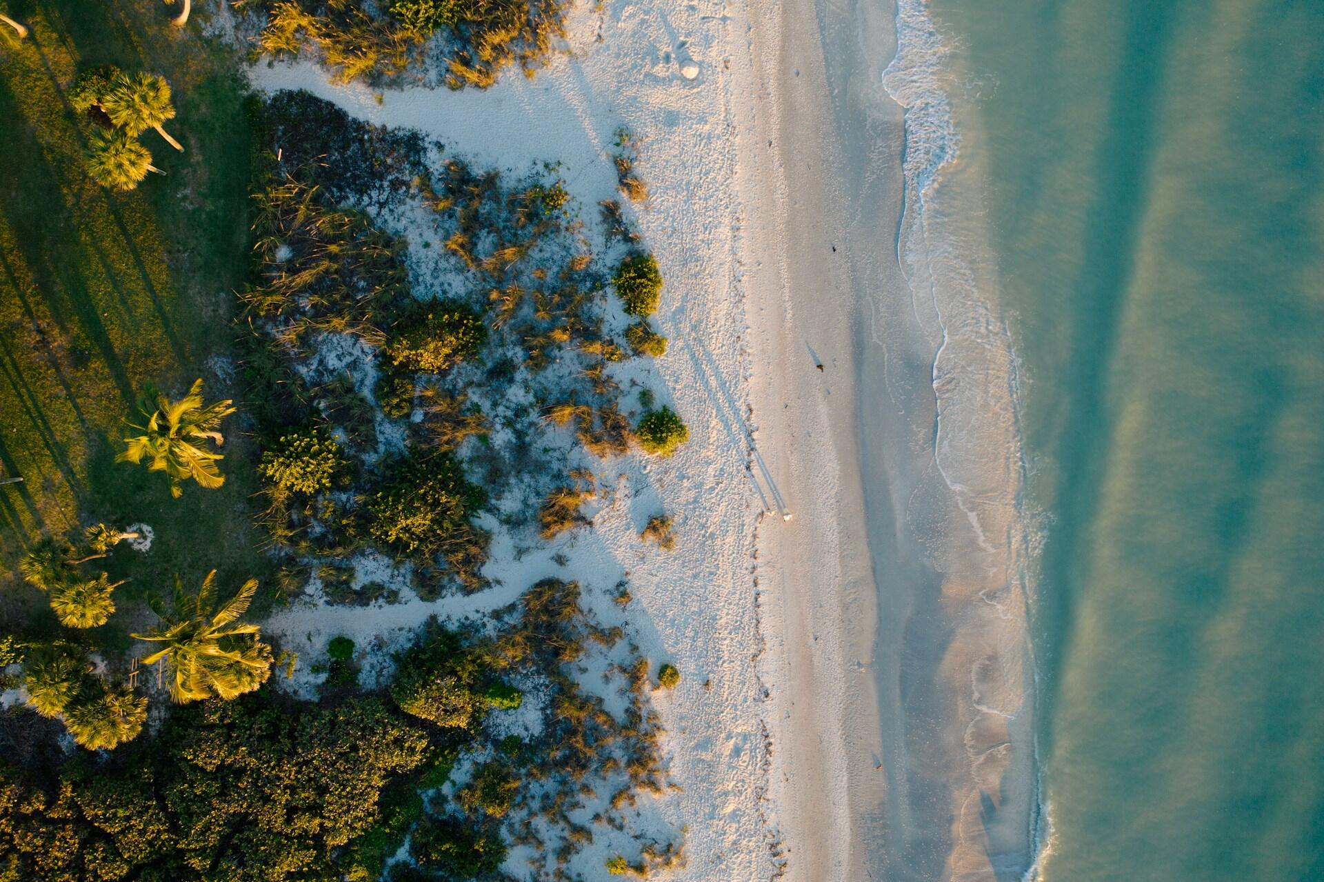 aerial view of a white sand beach in Florida, with tropical trees and greenery