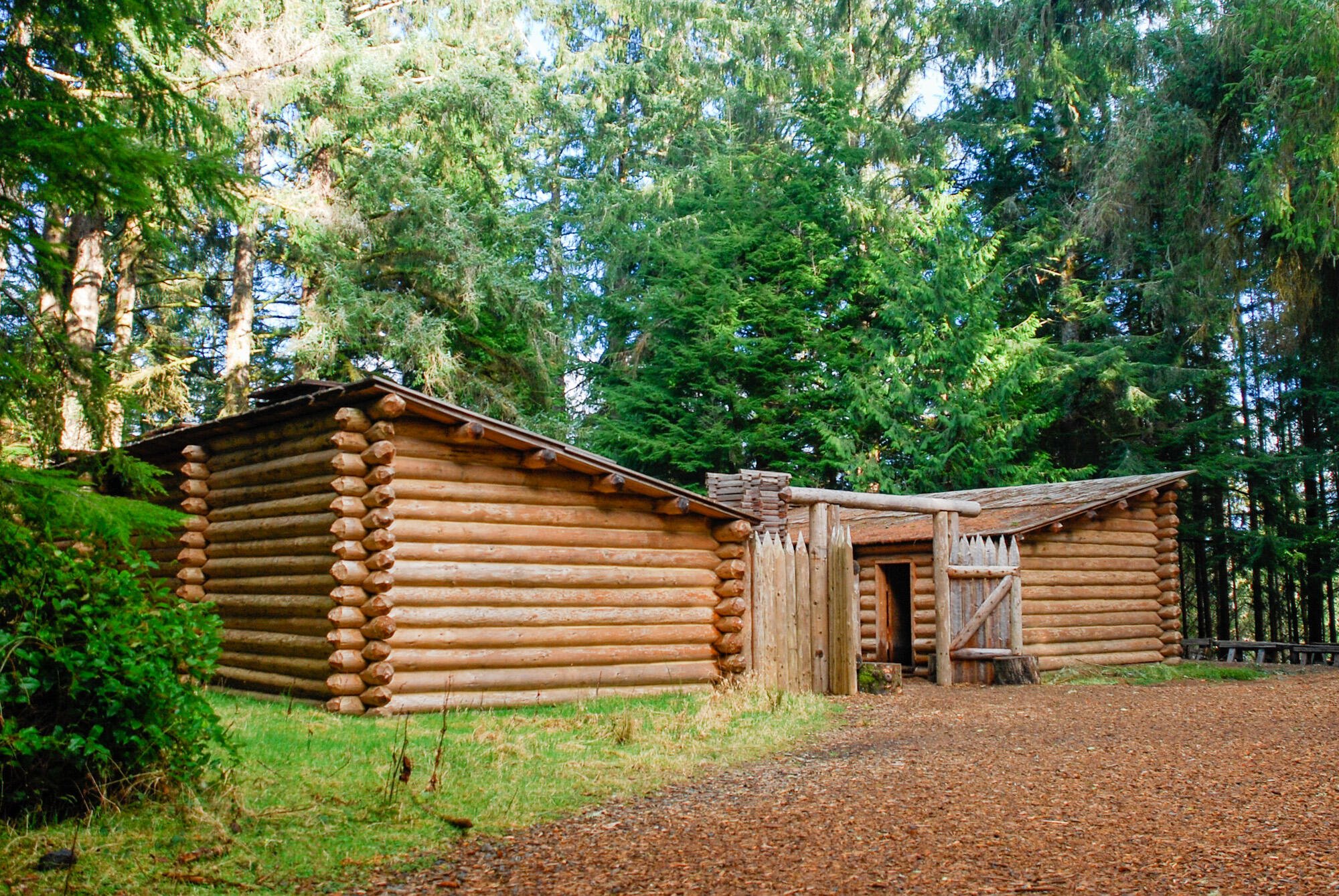 A log cabin in a lush green forest