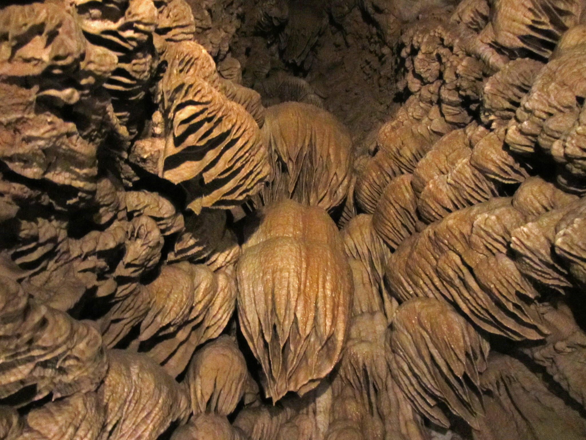 unusual stalactite shapes in a cave