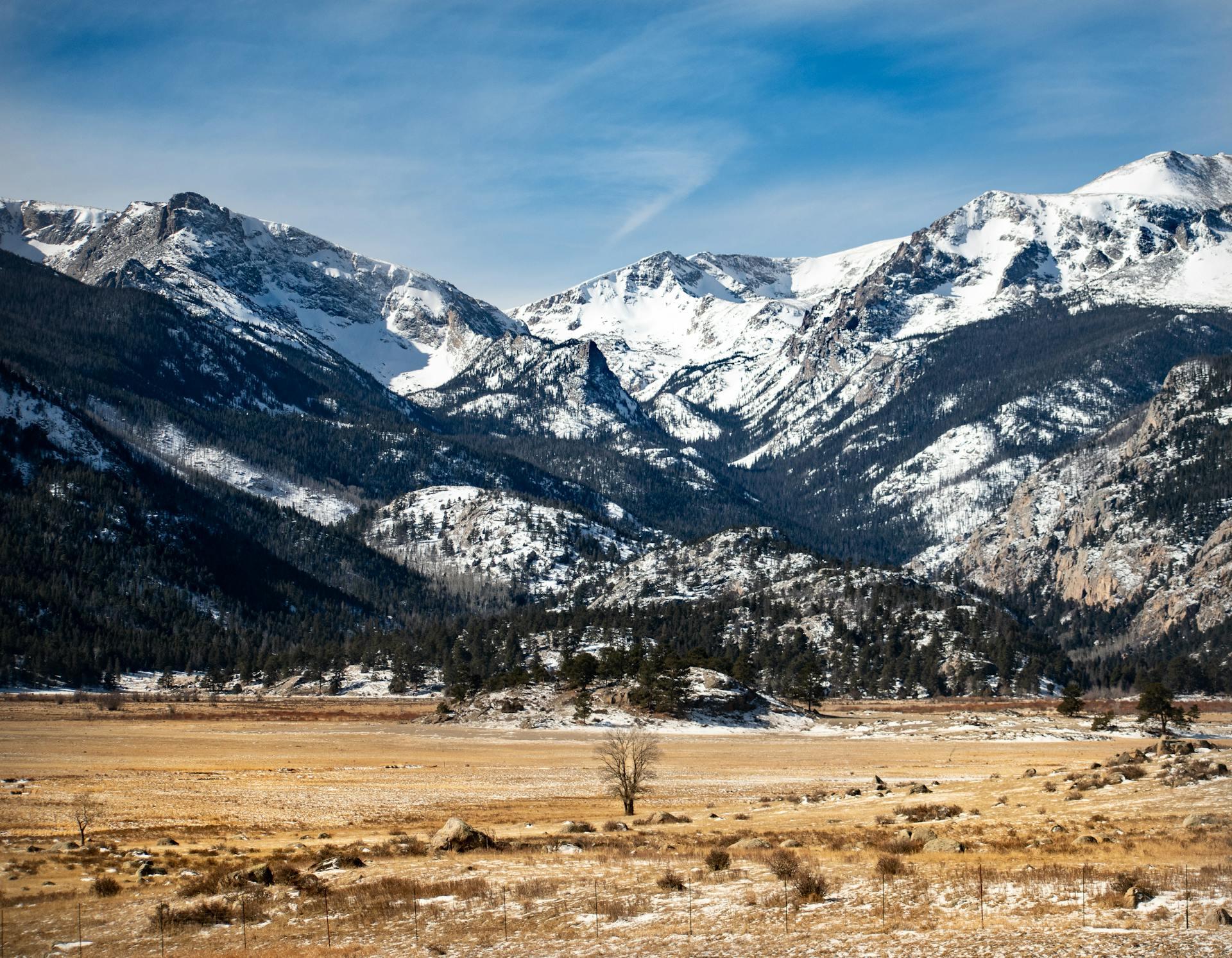 Snow-capped Rocky Mountains in the distance
