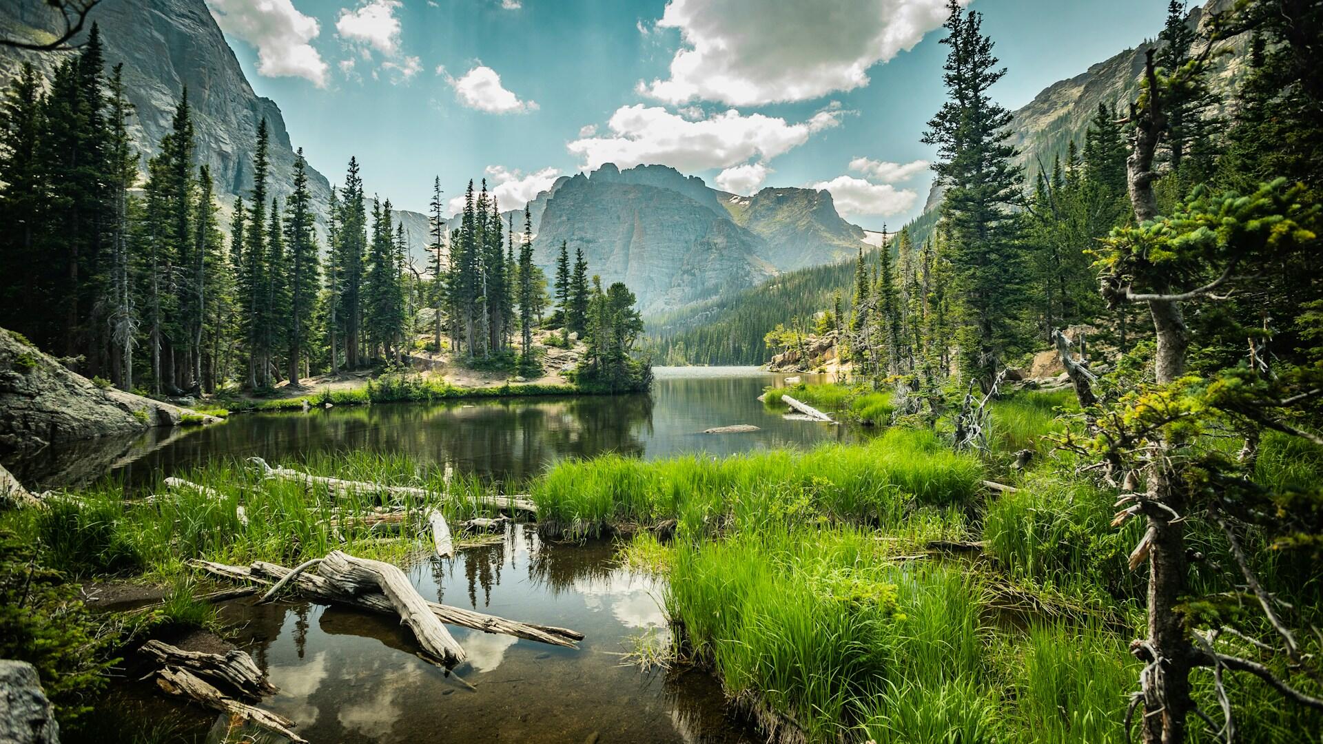 wetland area with Rocky Mountains rising up I the background