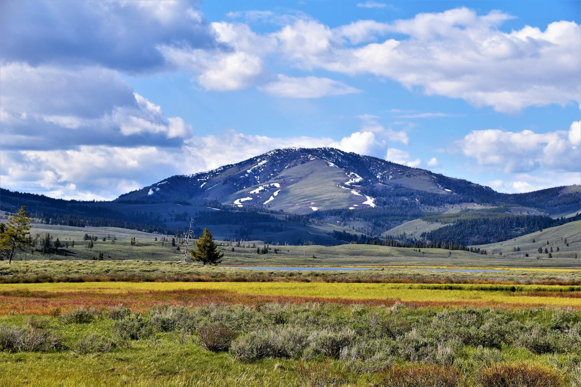 Lush plains in the foreground with a tall mountain covered in grass, trees, and some snow, with a blue haze, in the background