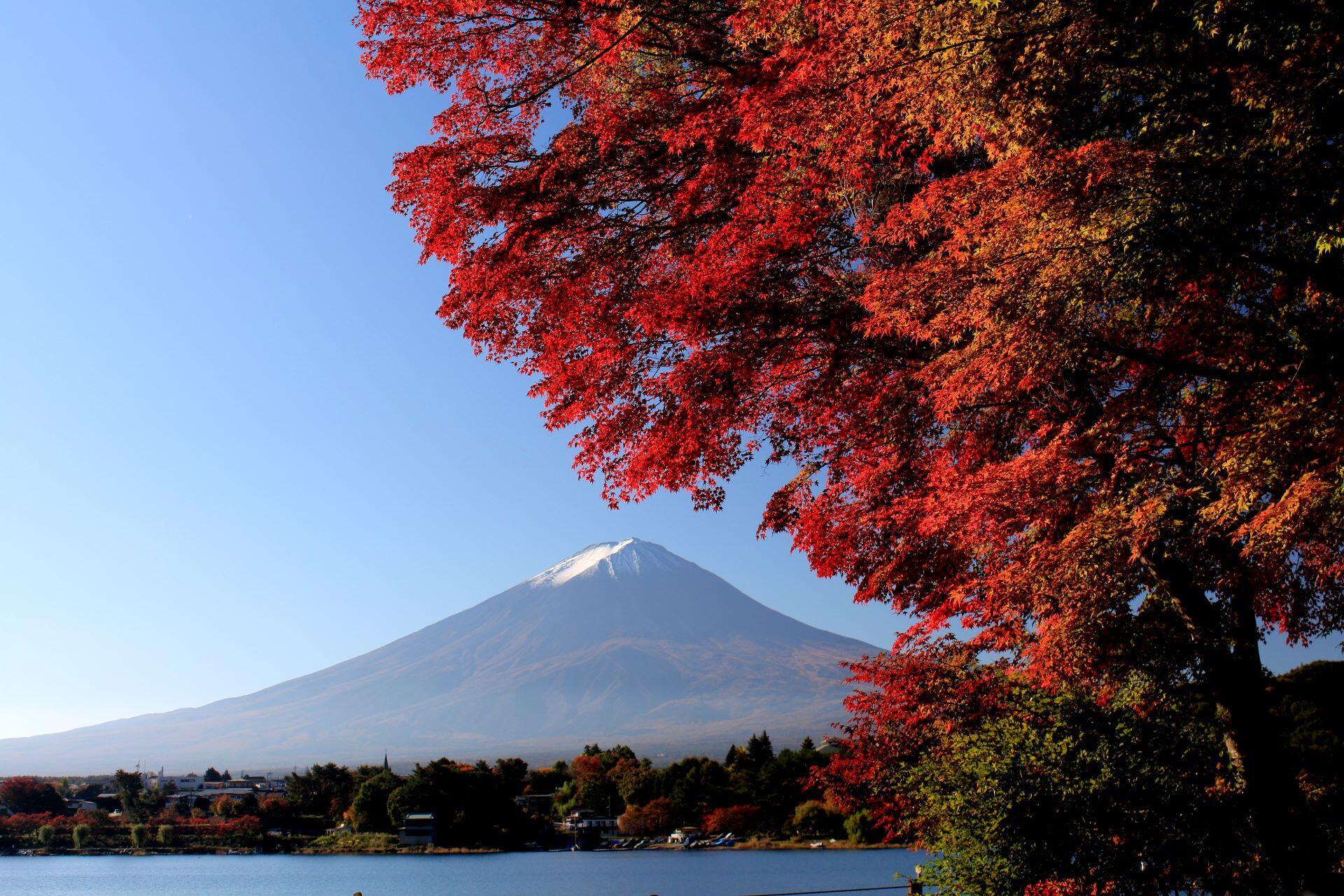 Mount Fuji framed by red autumn foliage and lake scenery in Japan