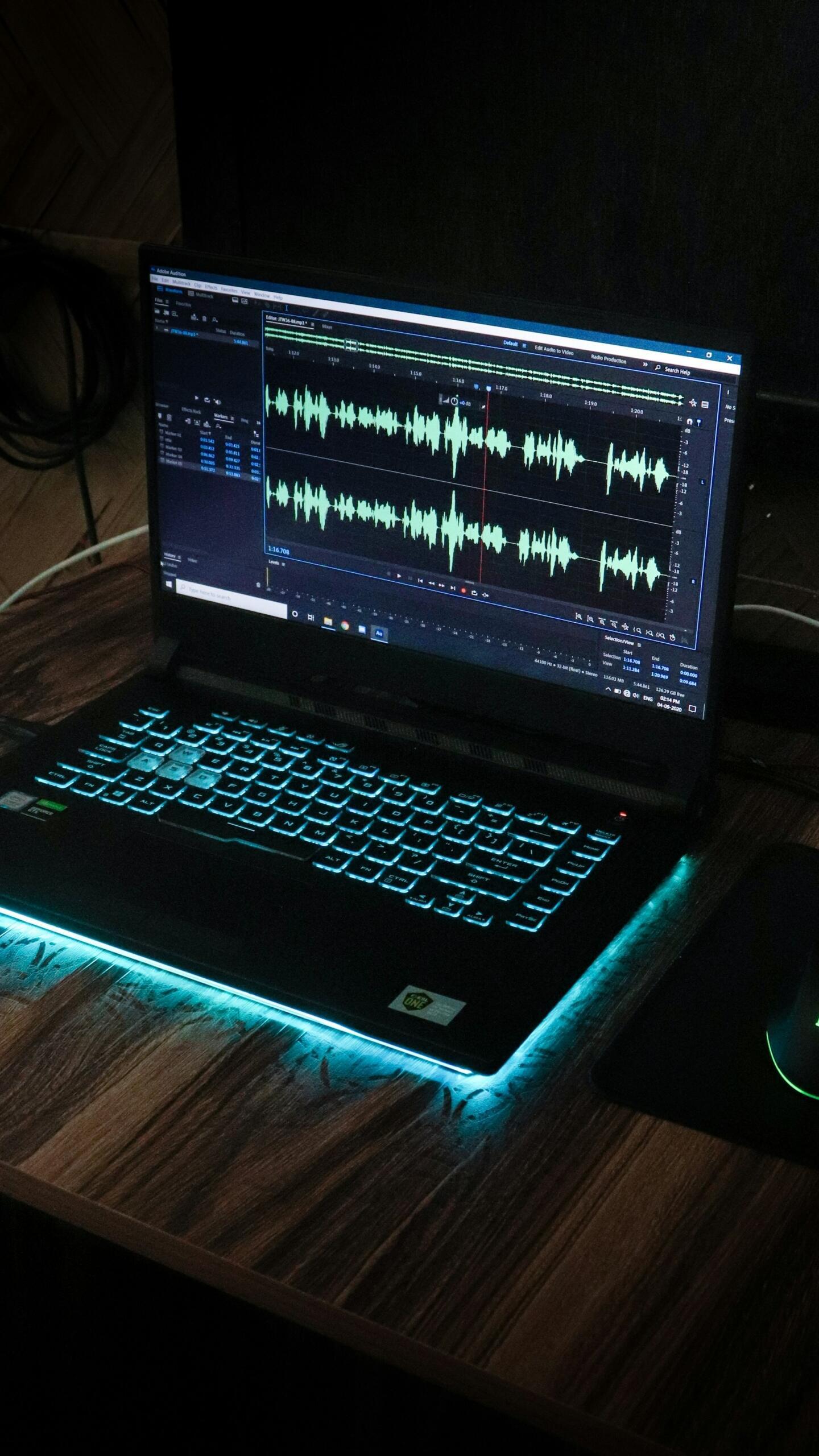 A computer screen displaying two bars of sound waves.
