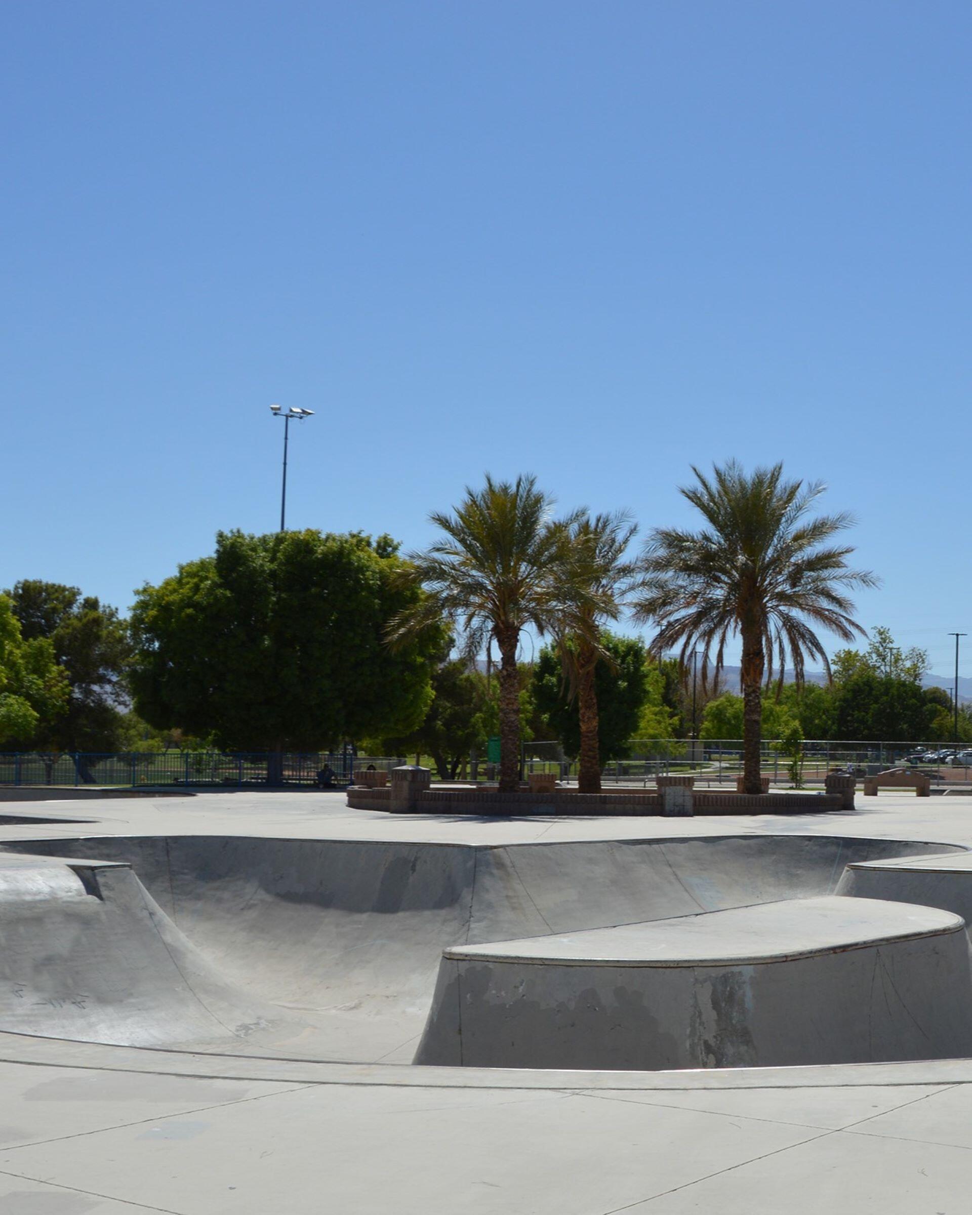 Concrete skate park with ramps, palm trees, and trees under a blue sky