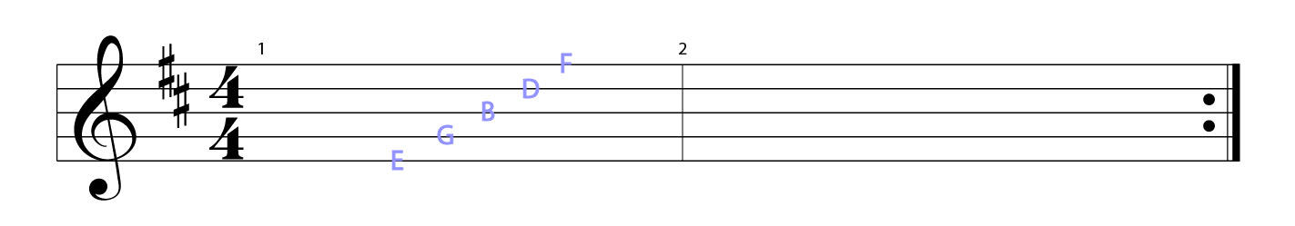 Music staff with the five lines labeled E, G, B, D, and F from bottom to top