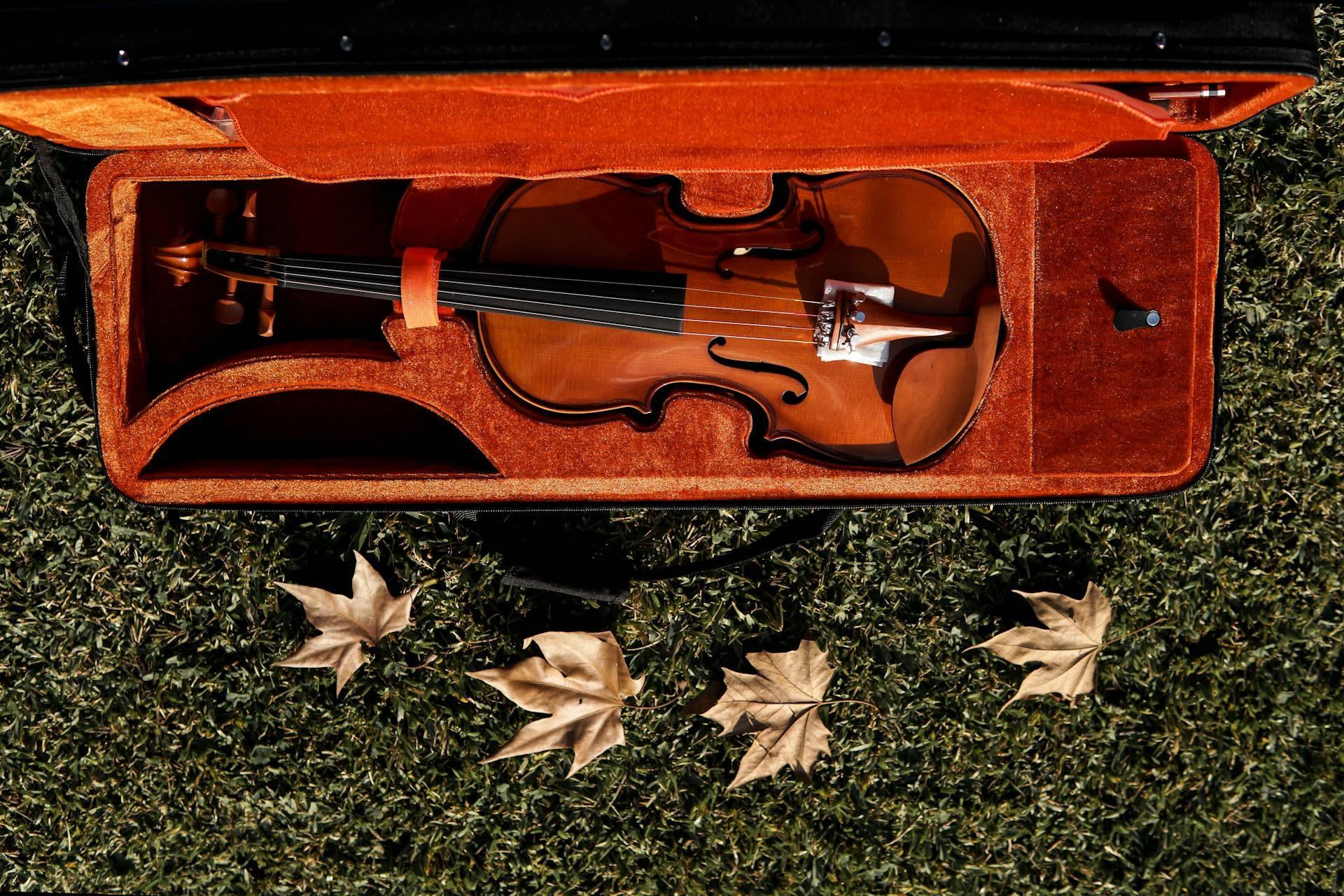 Violín en estuche