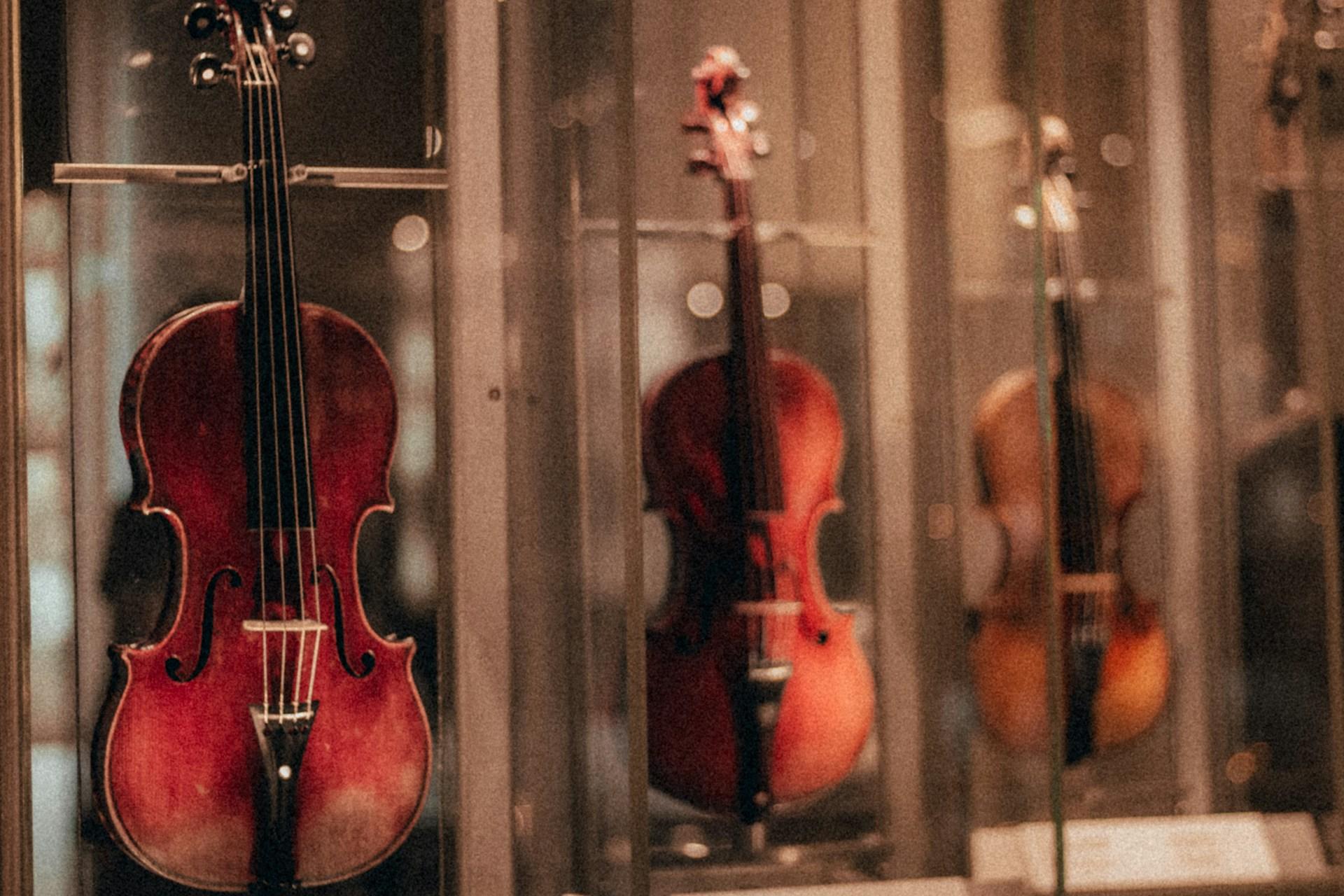 Vidriera con violines