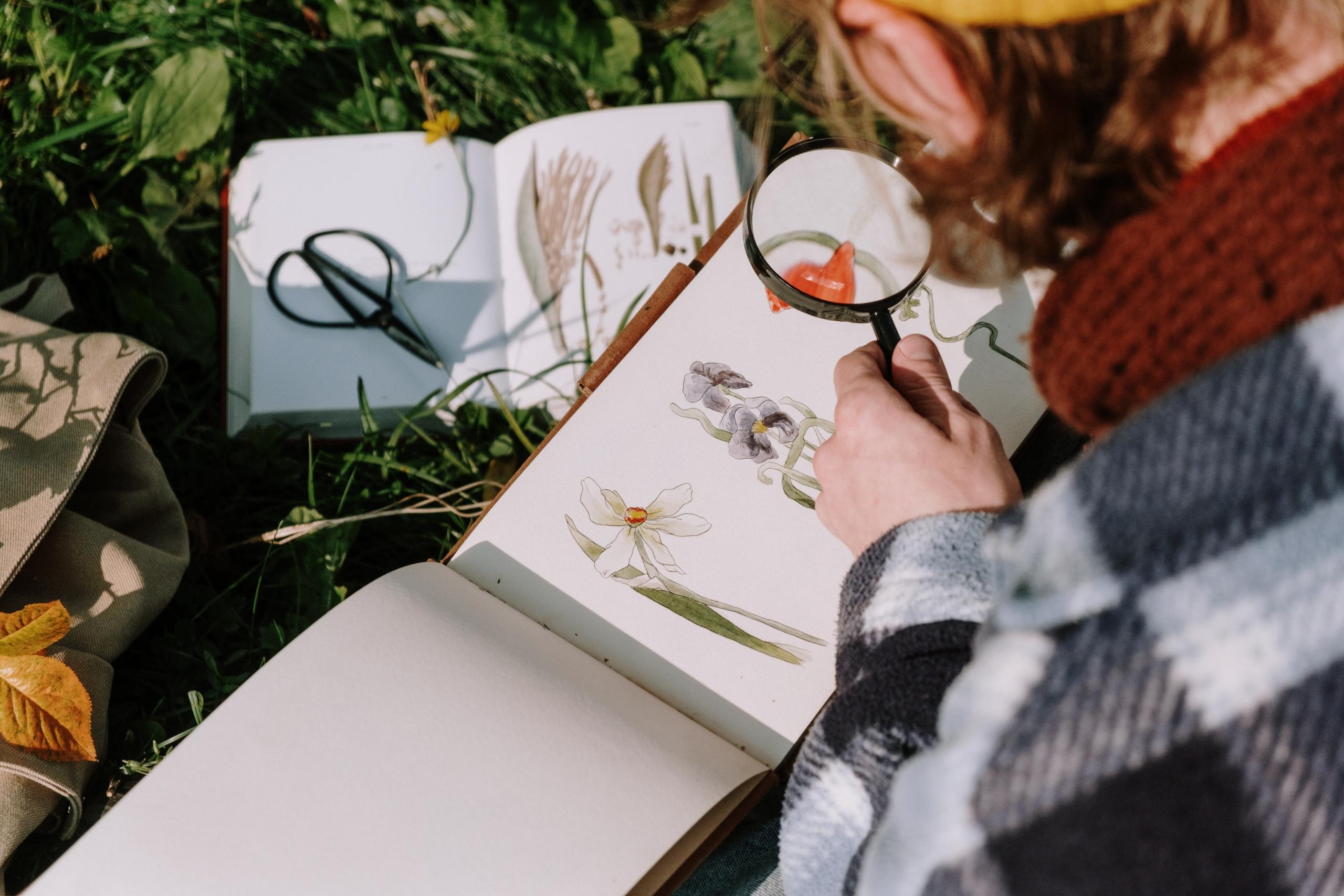 joven viendo con una lupa una flor disecada