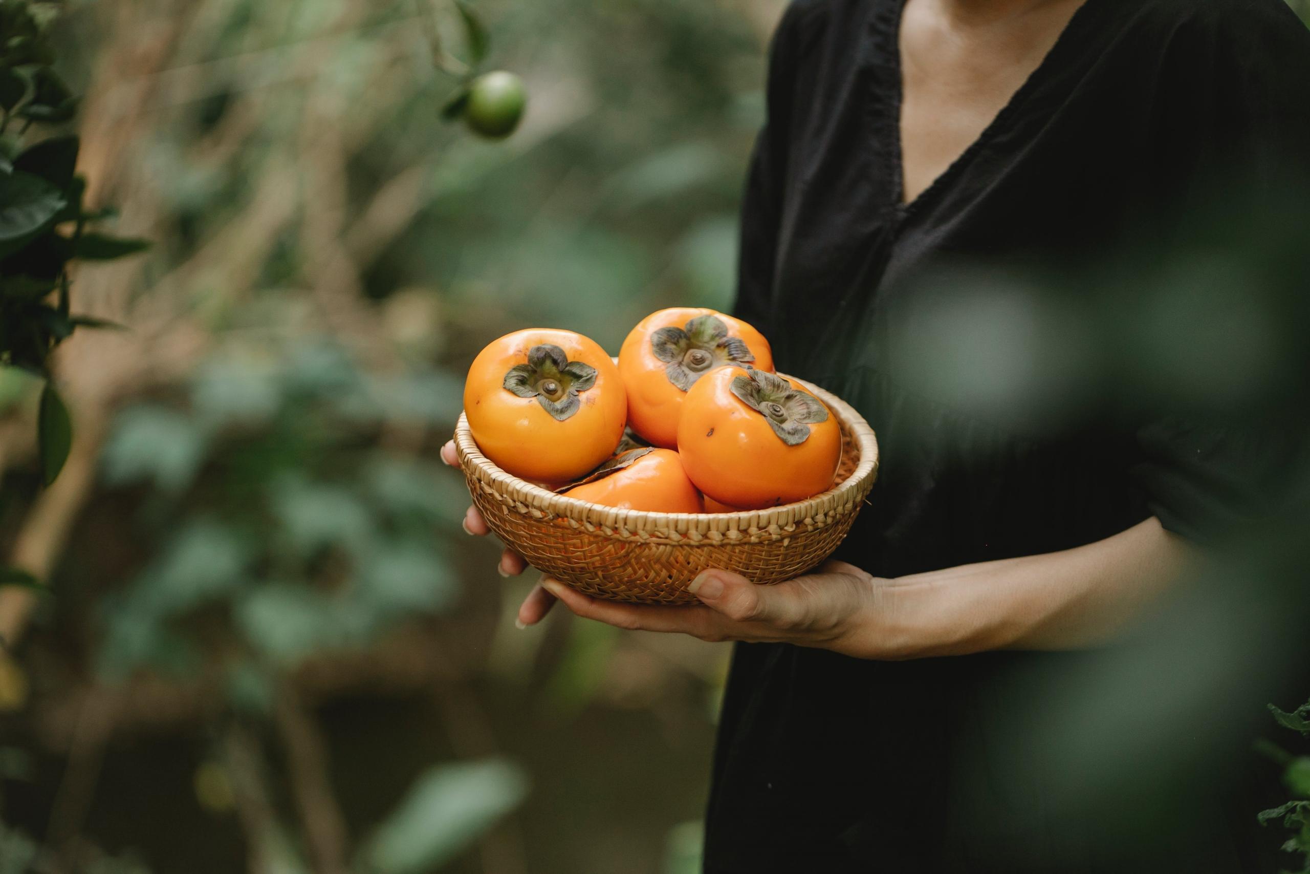 persona sosteniendo un bowl con verduras de una huerta