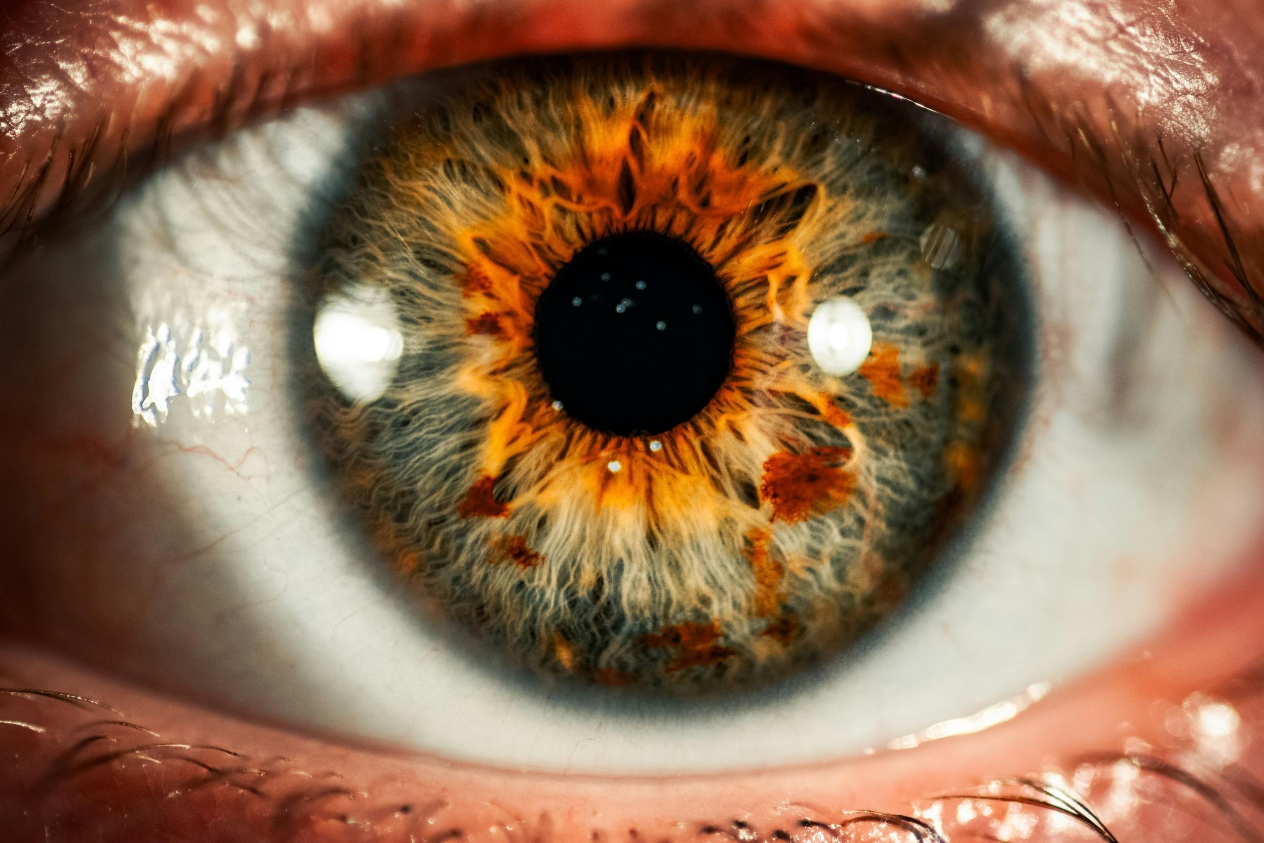 ojo humano