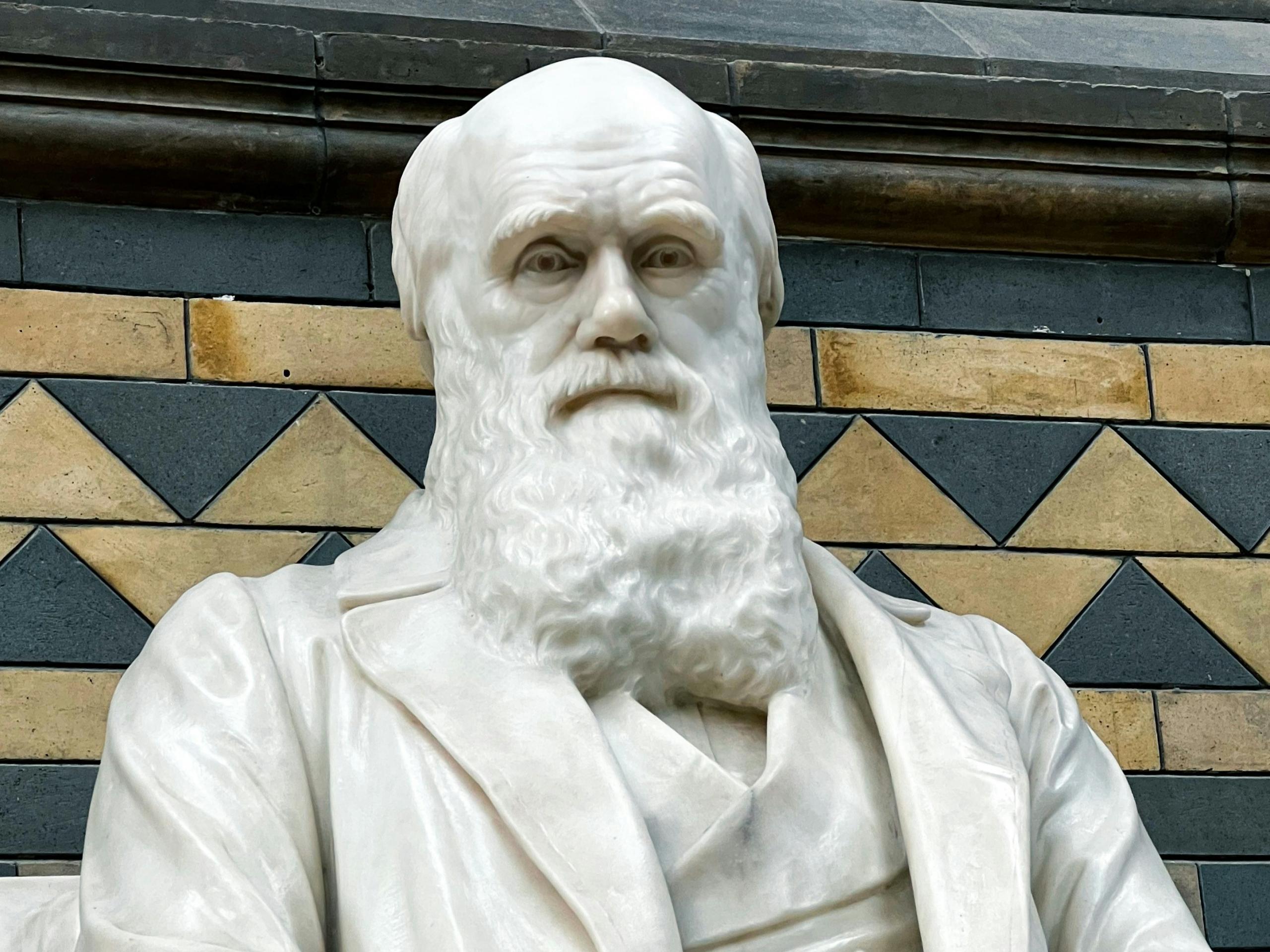 estatua de Charles Darwin