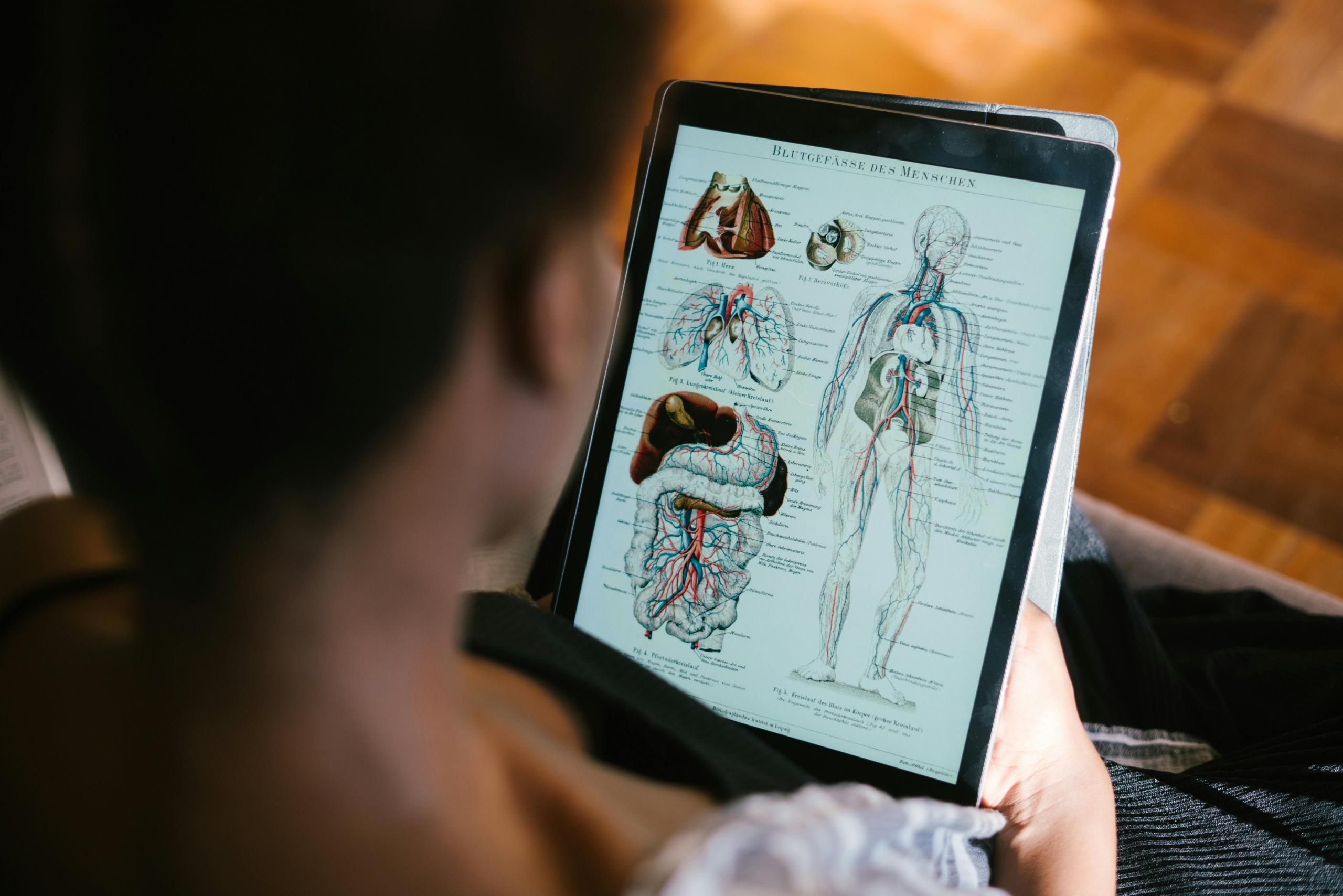 persona estudiando anatomia con una tablet